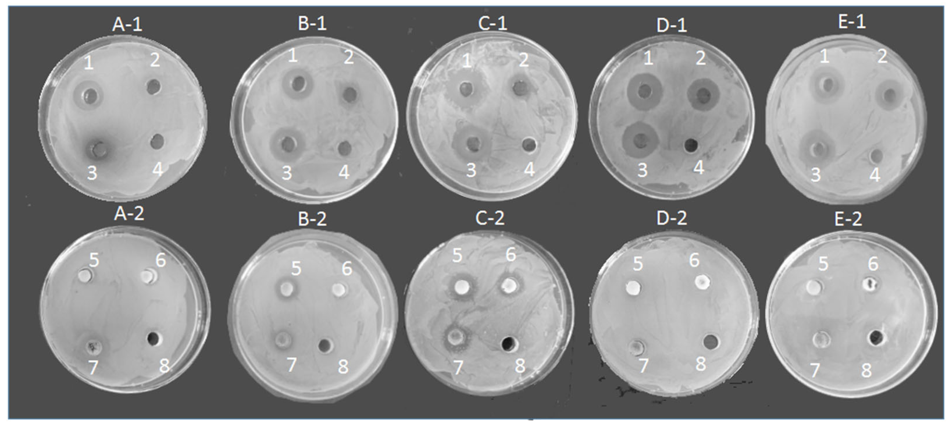 Separations 12 00288 g010