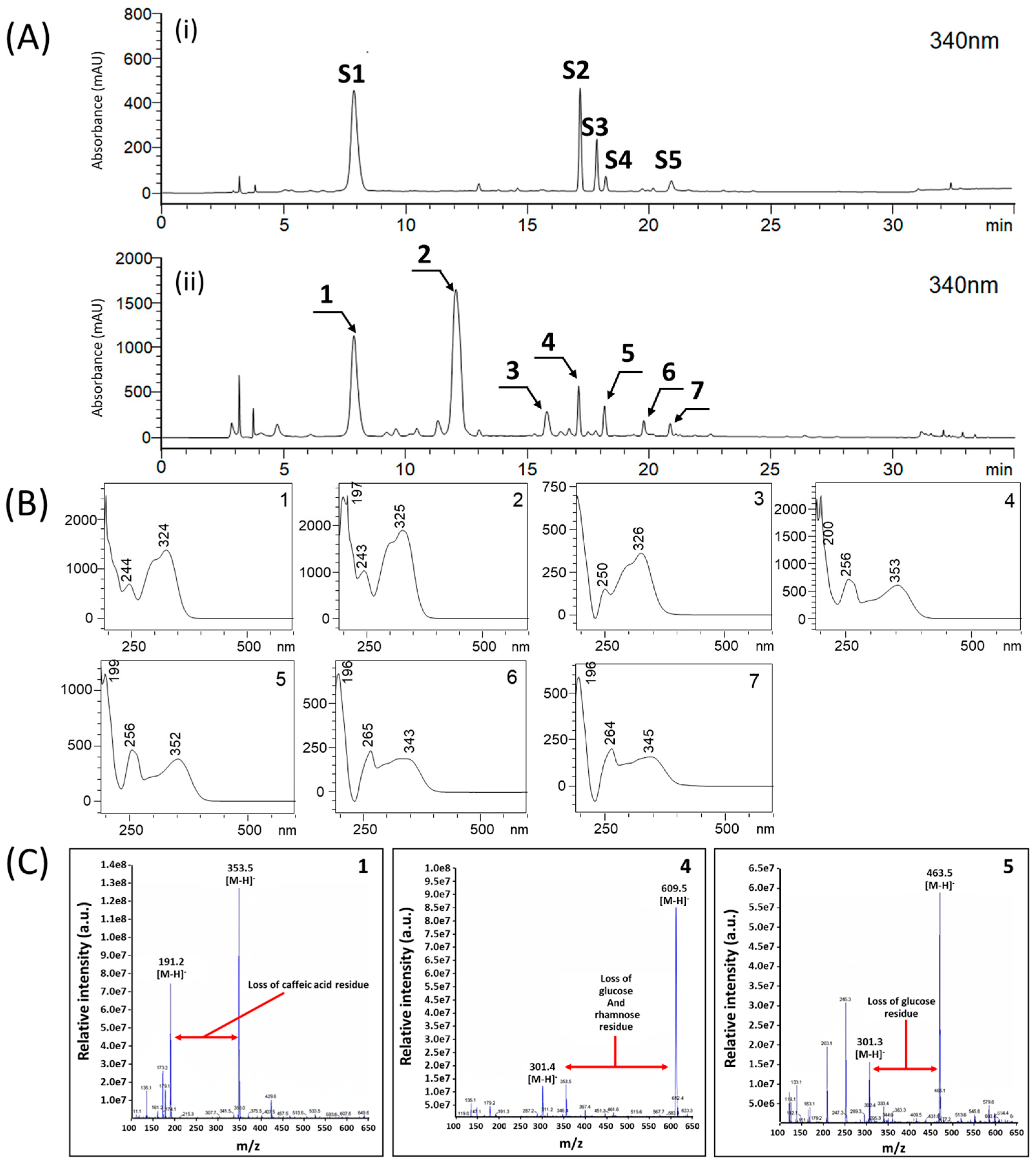Separations 12 00298 g001