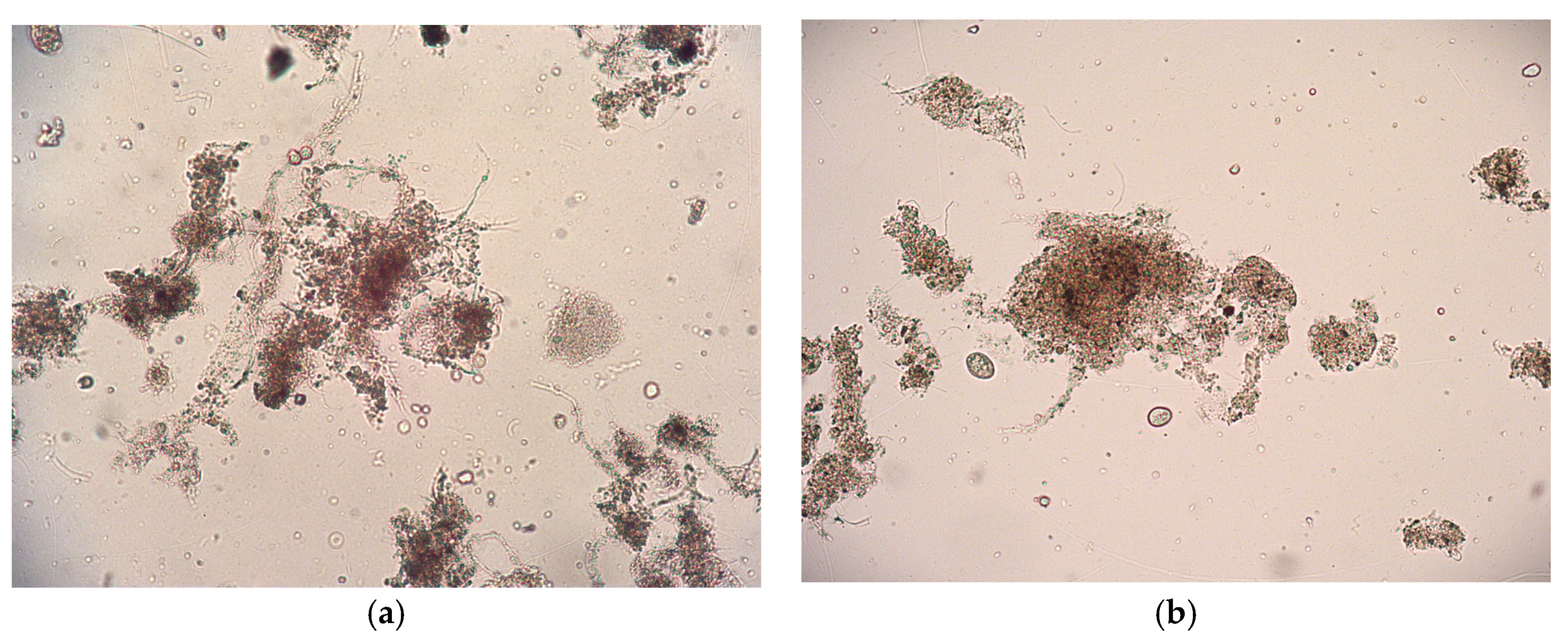 Separations 13 00003 g002 Separations 13 00003 g002