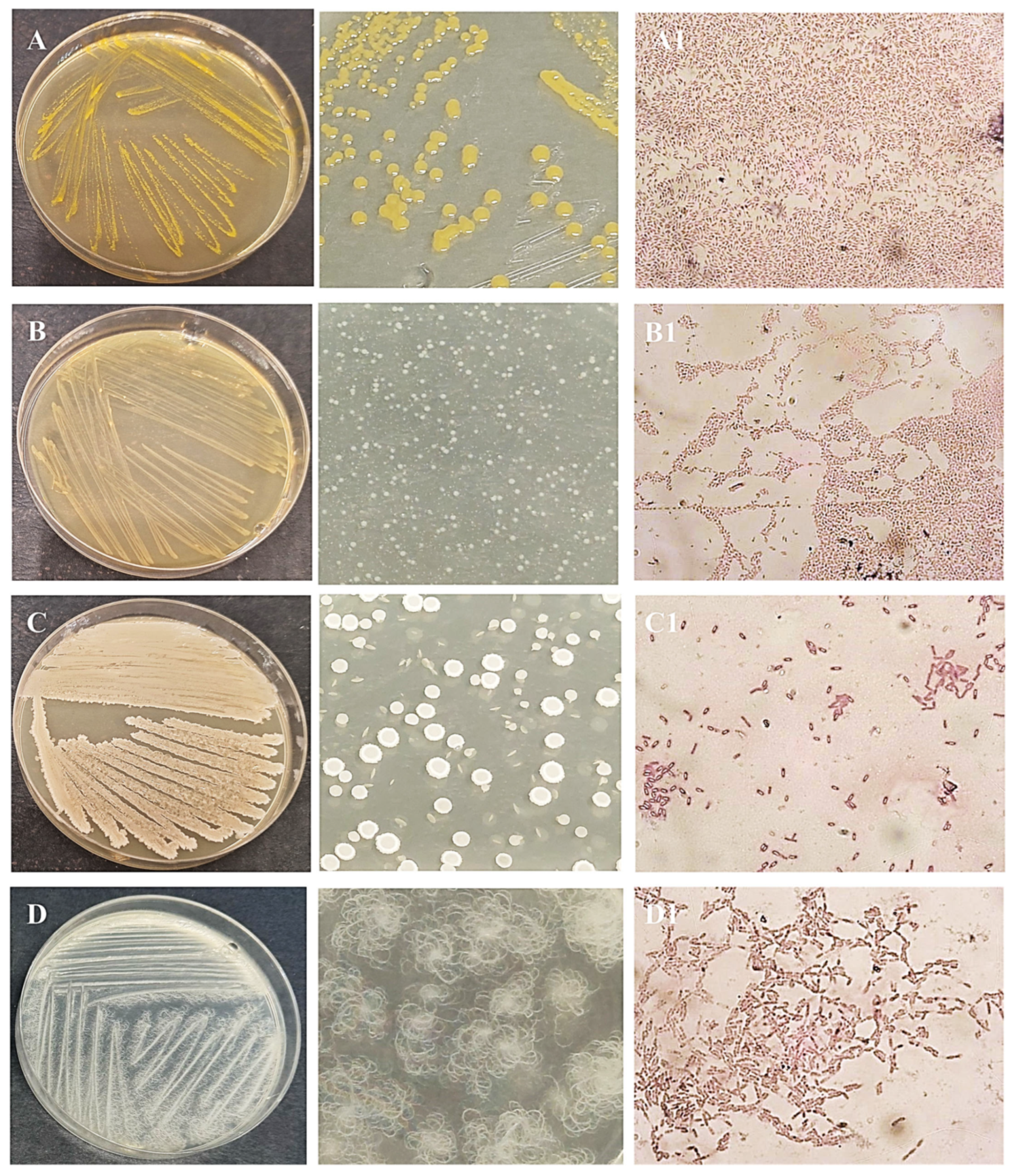 Separations 13 00003 g003 Separations 13 00003 g003