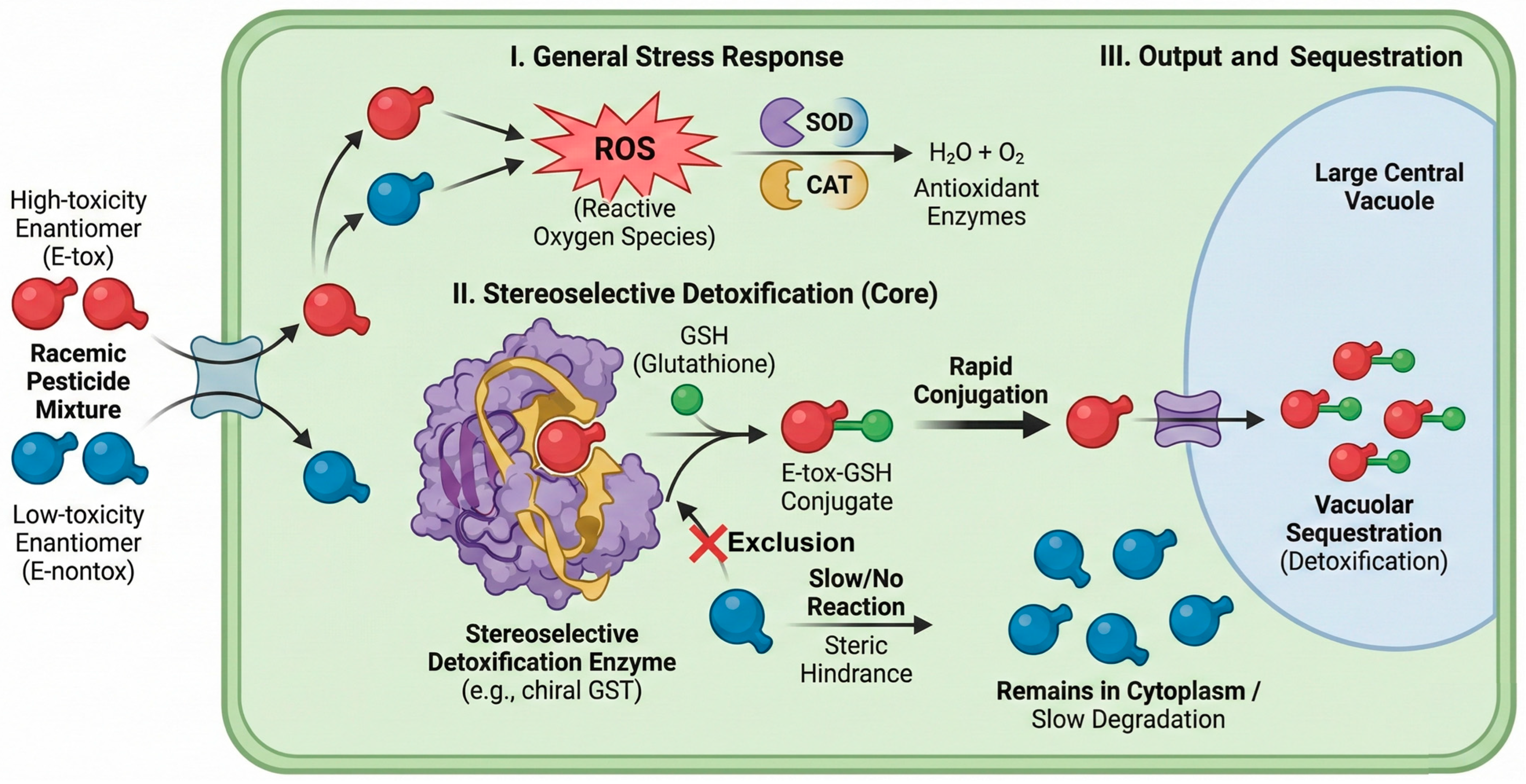Separations 13 00004 g005