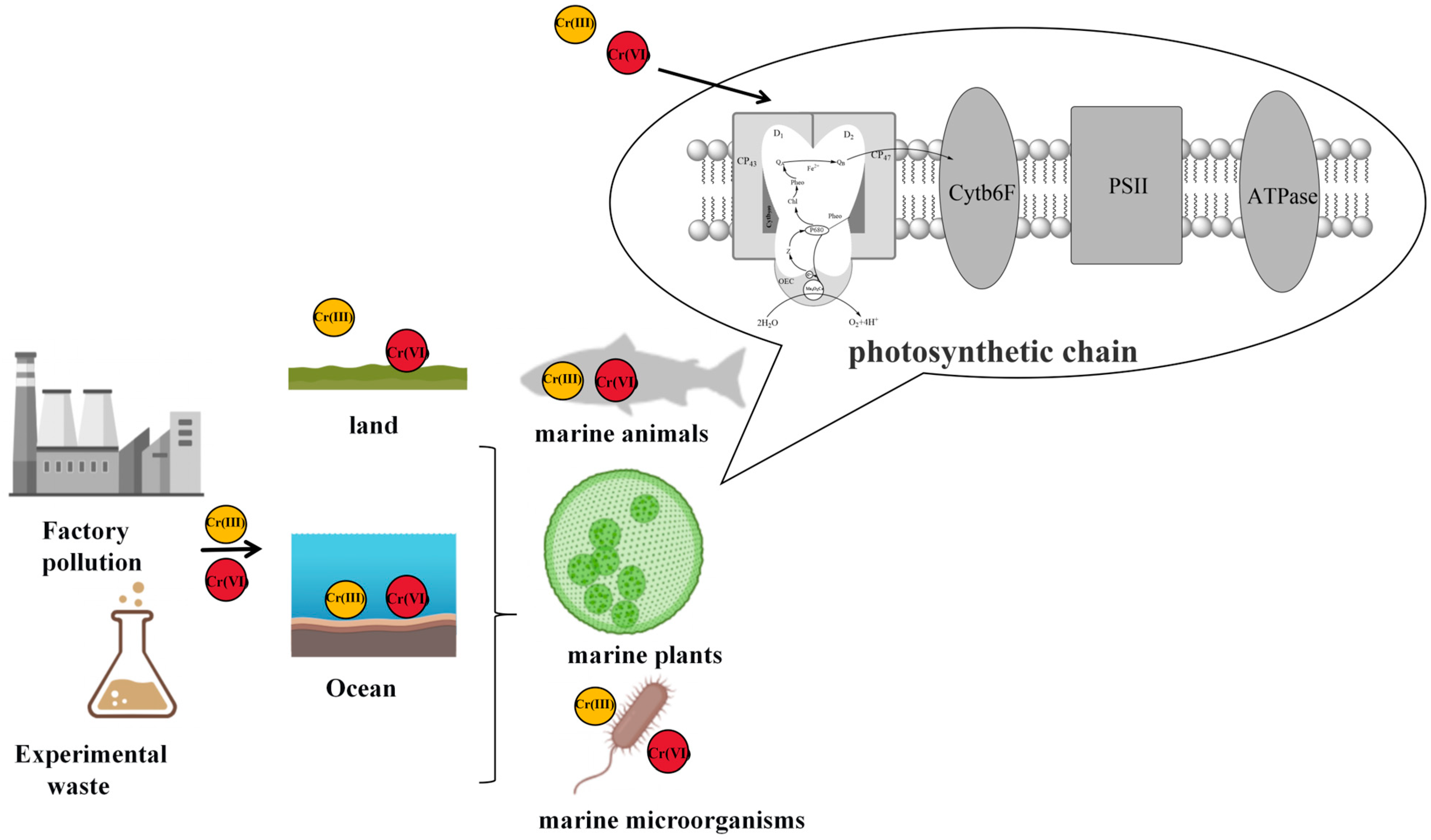 Separations 13 00023 g006 Separations 13 00023 g006