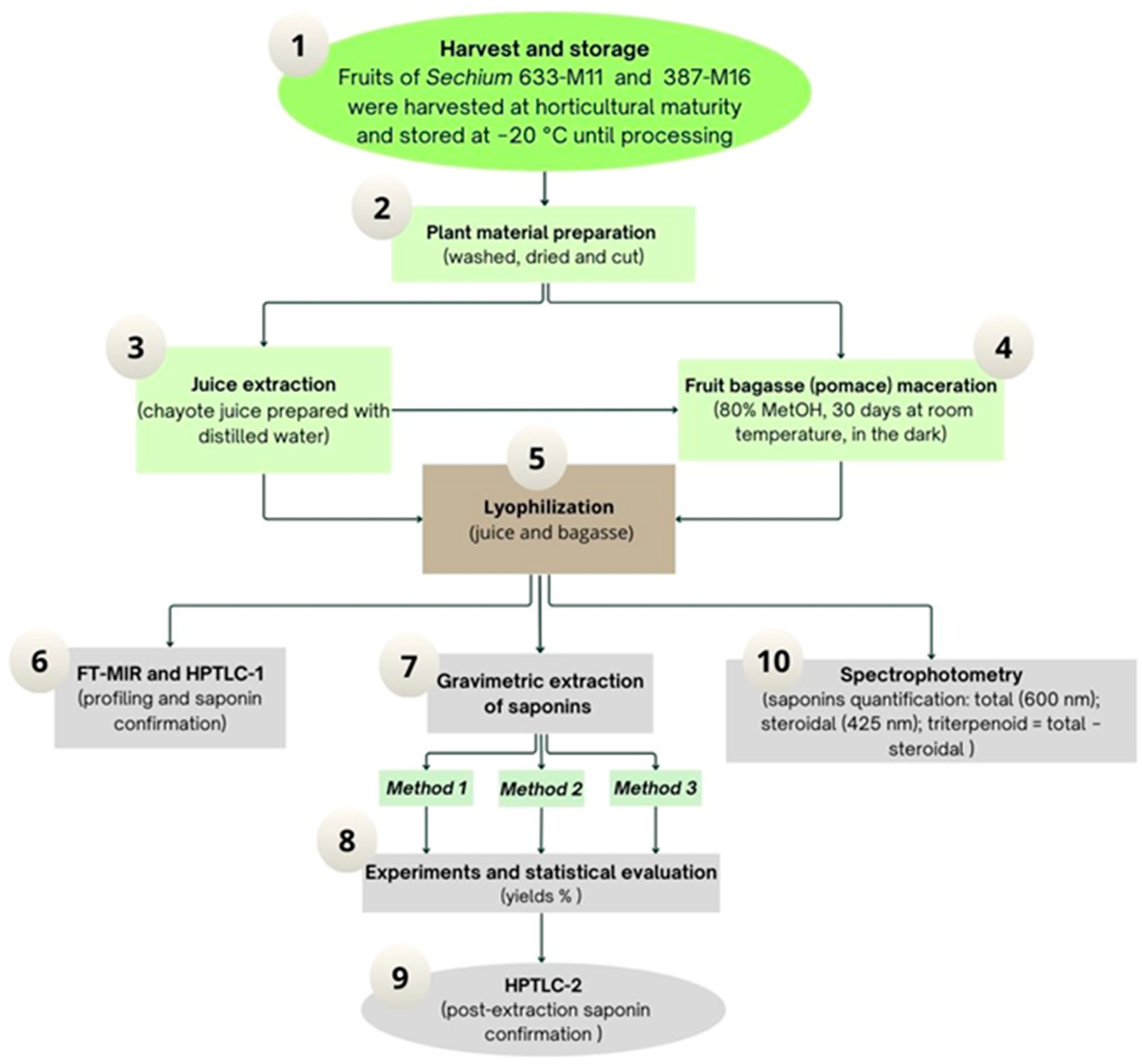 Separations 13 00029 g001