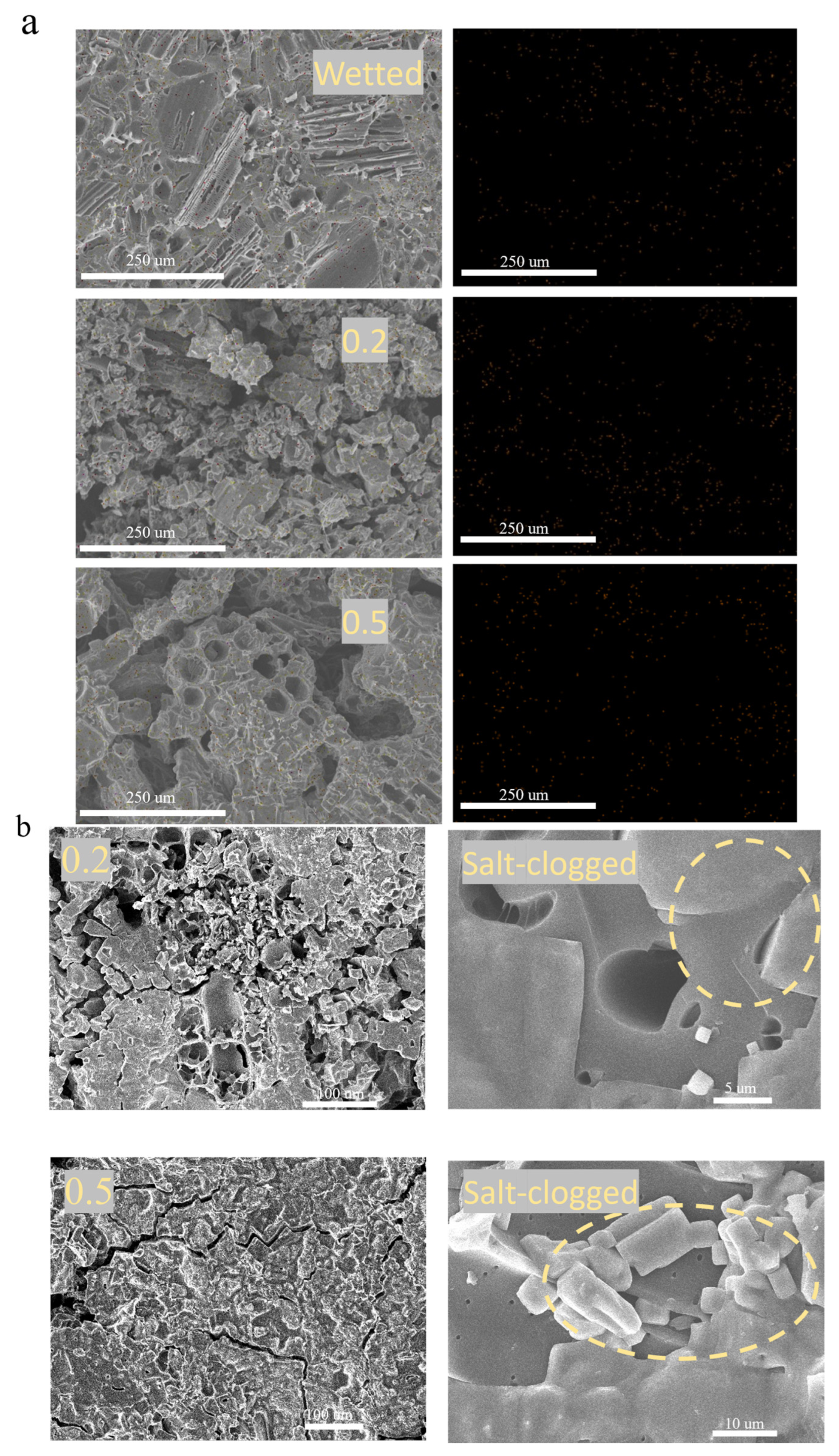 Separations 13 00044 g007