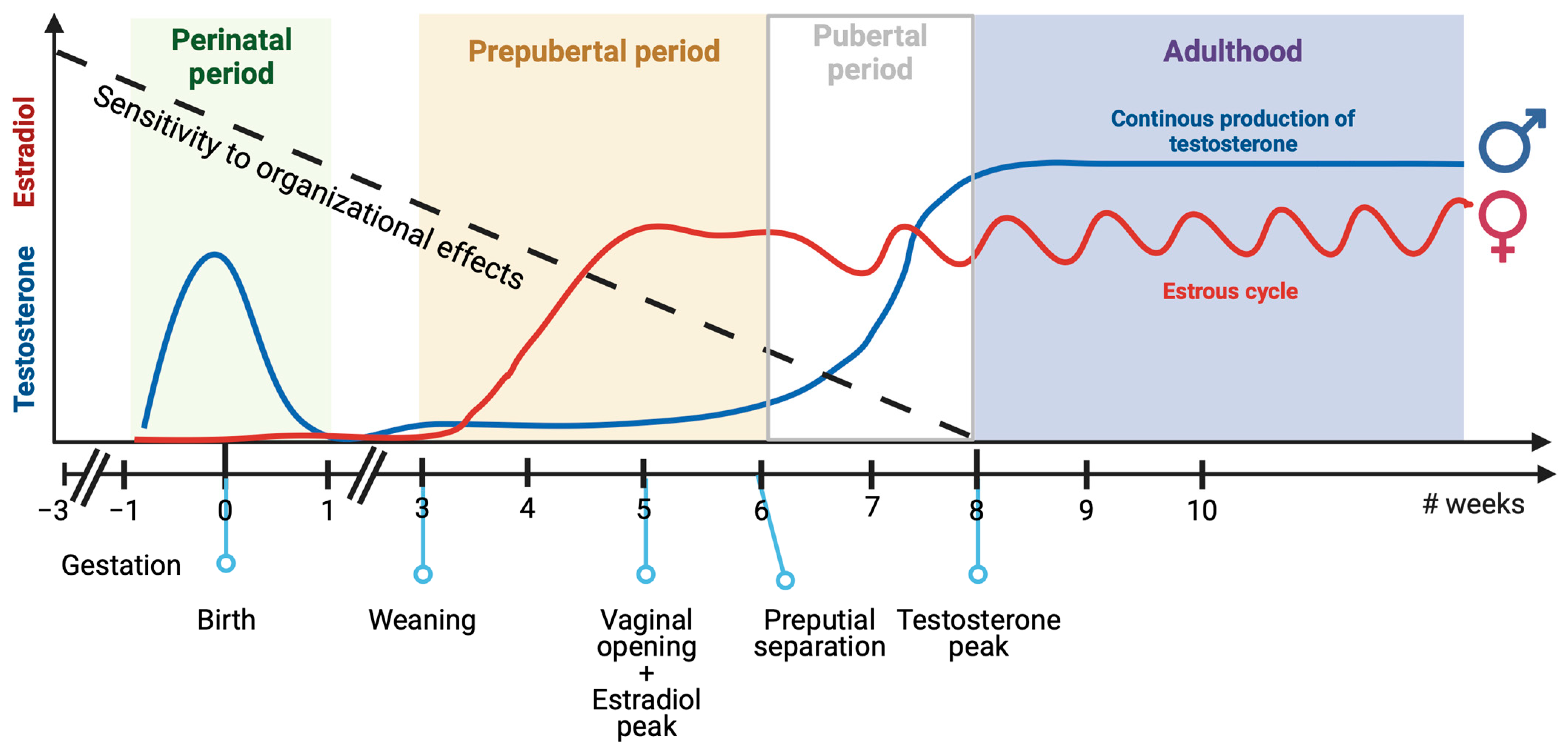 Sexes 04 00024 g002 Sexes 04 00024 g002