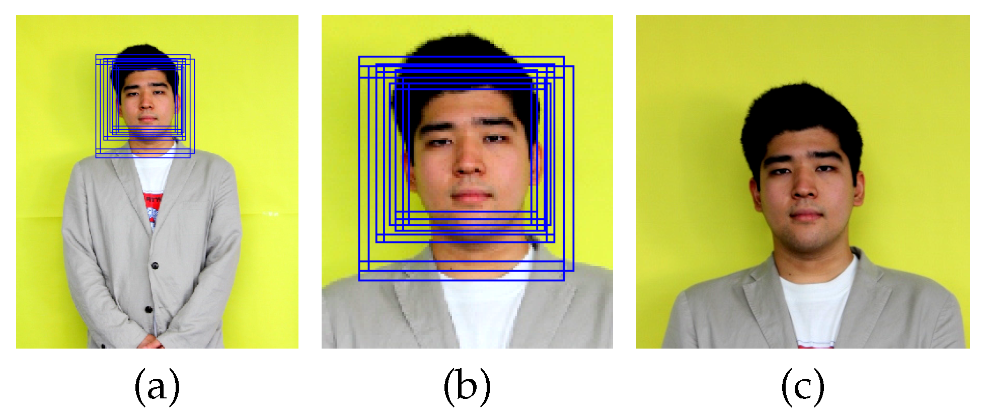 Signals 02 00033 g002