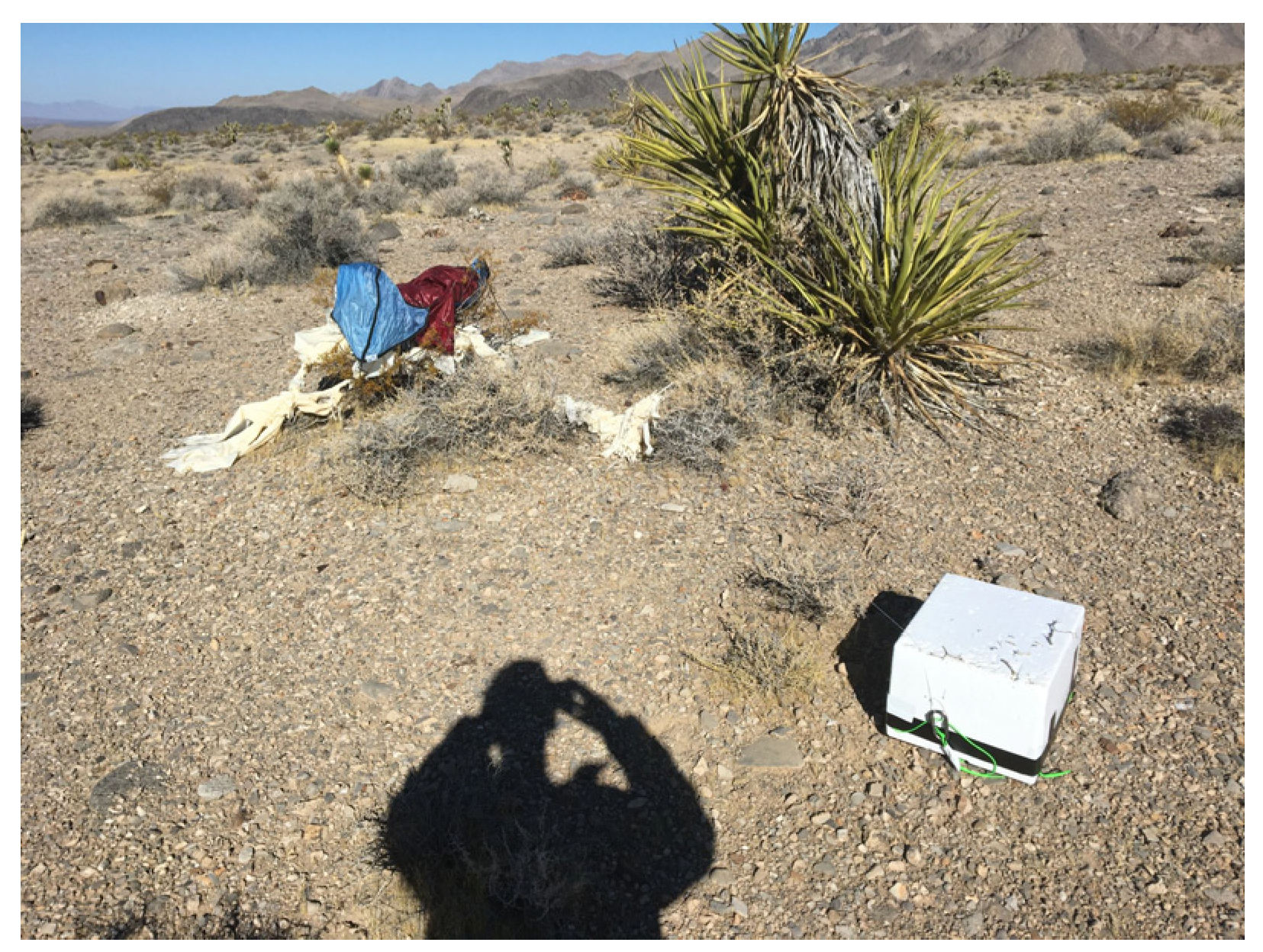 Signals 03 00014 g002