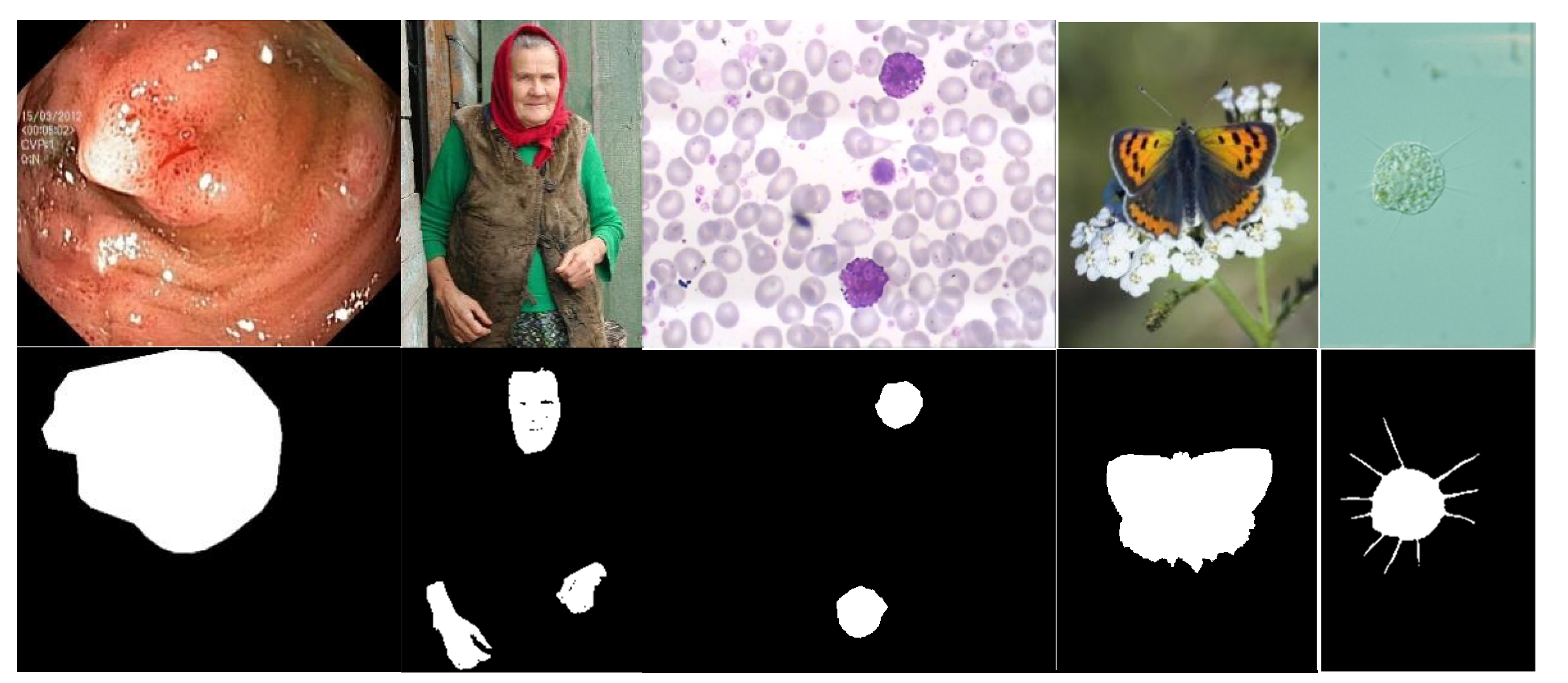 Signals 03 00022 g001