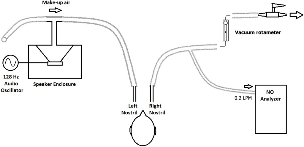 Sinusitis 01 00013 g001 1024