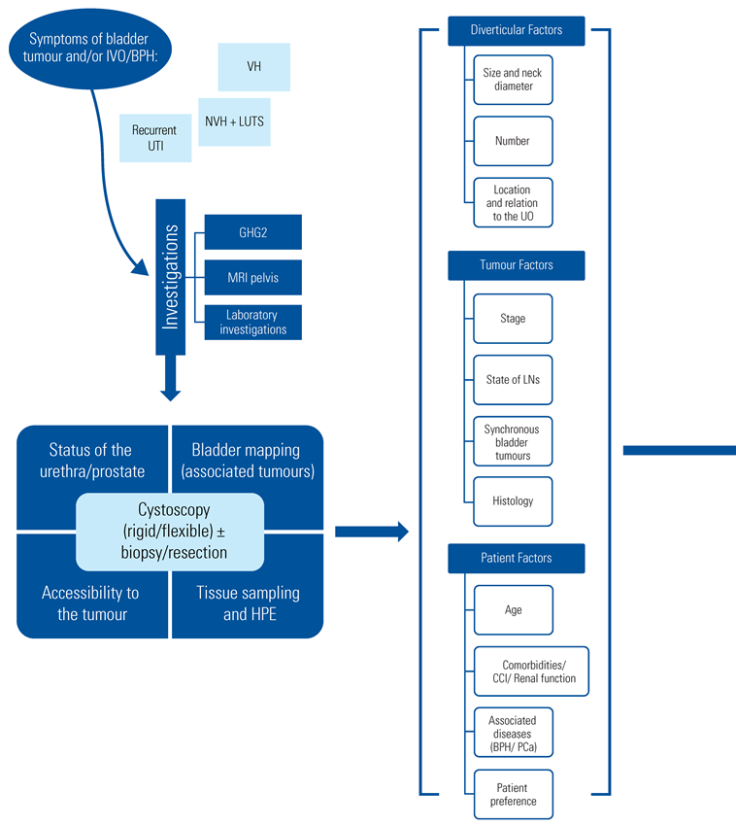 Siuj 03 00303 i005a Siuj 03 00303 i005a