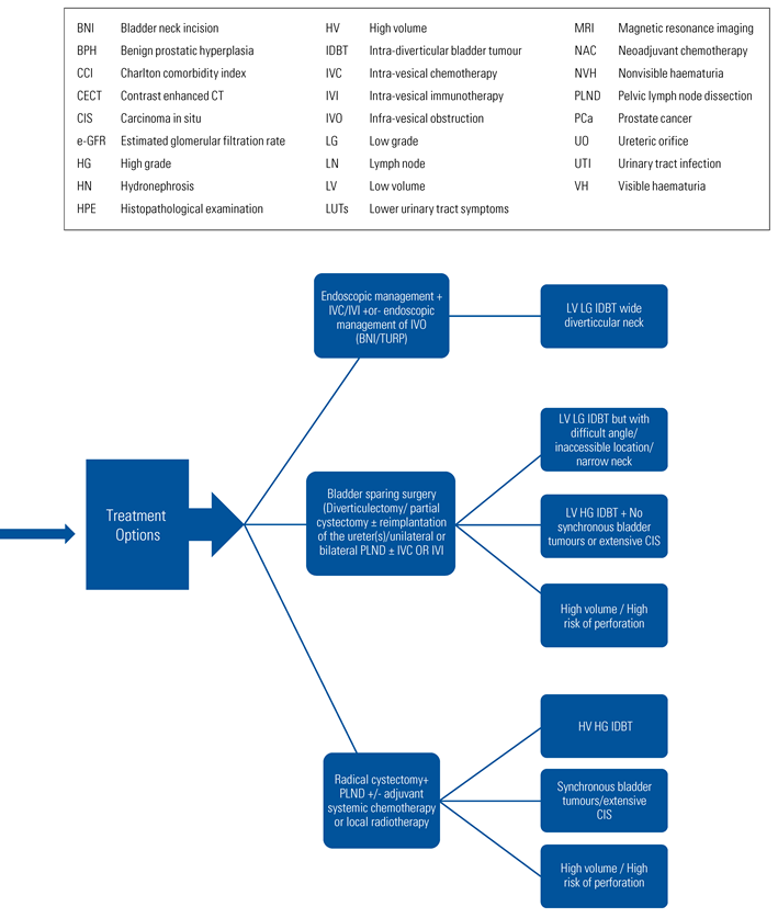 Siuj 03 00303 i005b Siuj 03 00303 i005b