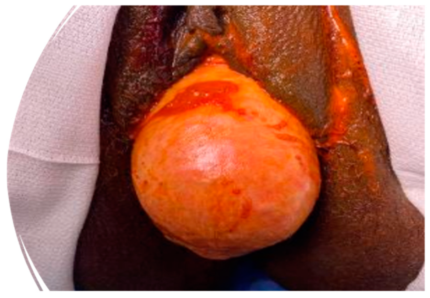 Siuj 06 00012 g001 Siuj 06 00012 g001