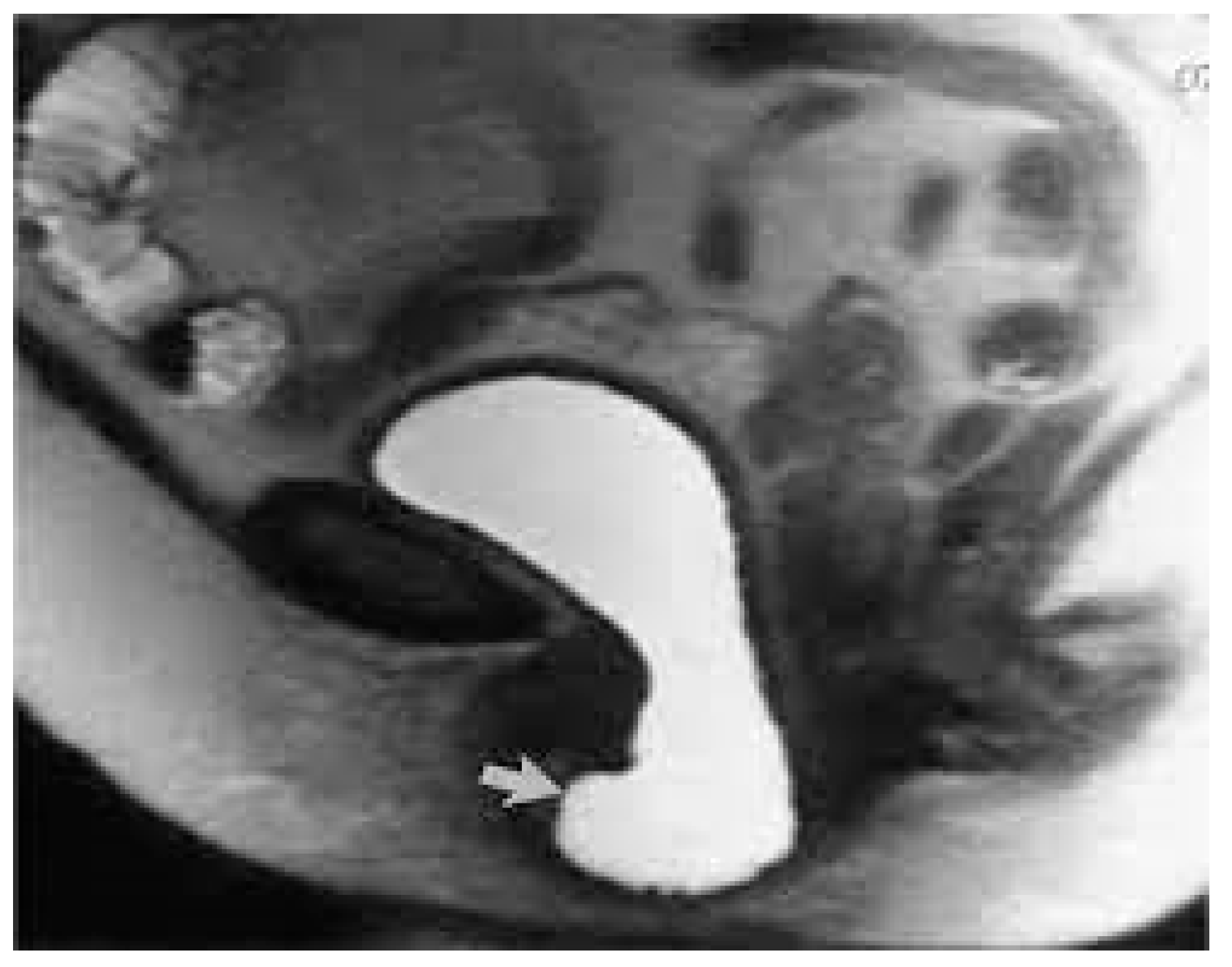 Siuj 06 00012 g002 Siuj 06 00012 g002