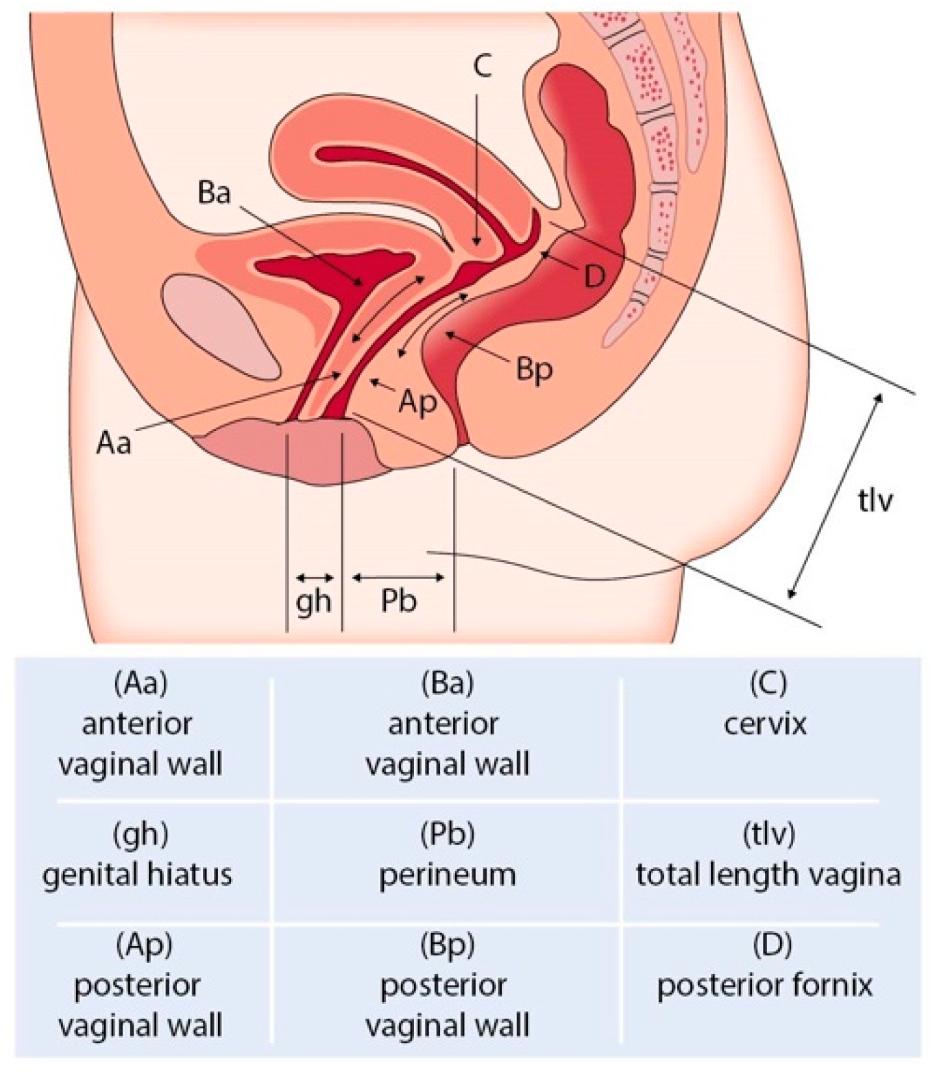 Siuj 06 00012 g005 Siuj 06 00012 g005