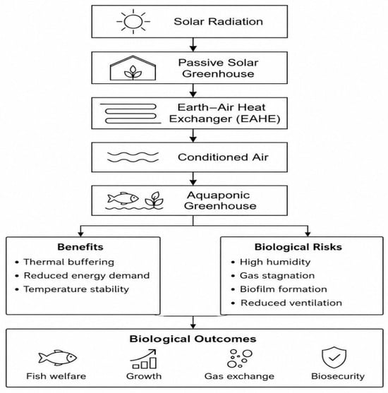 Conceptual schematic showing the proposed integration between a passive solar greenhouse and an EAHE in aquaponic production systems. The diagram summarizes the engineering configuration and associated biological consequences synthesized from the reviewed literature. It is intended solely for conceptual illustration and is not drawn to scale or intended to represent quantitative relationships.