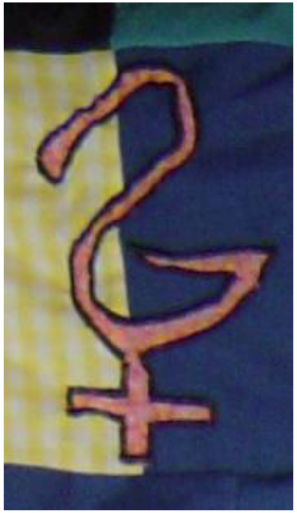 Societies 02 00252 g005