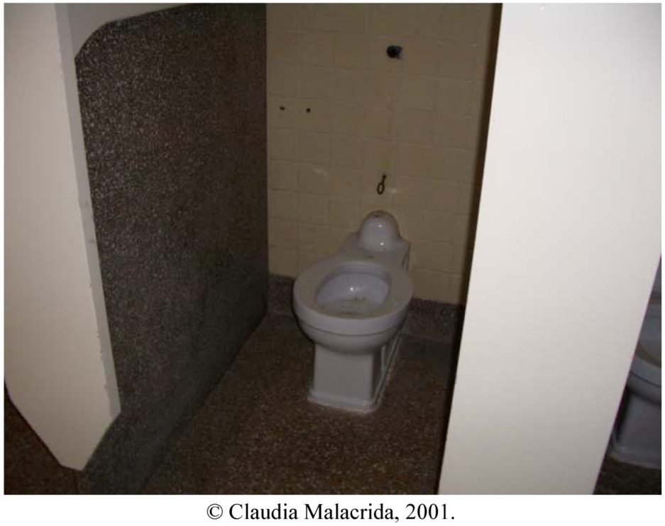 Societies 02 00286 g005