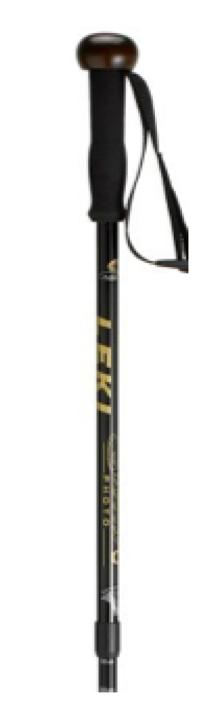 Societies 02 00302 g001