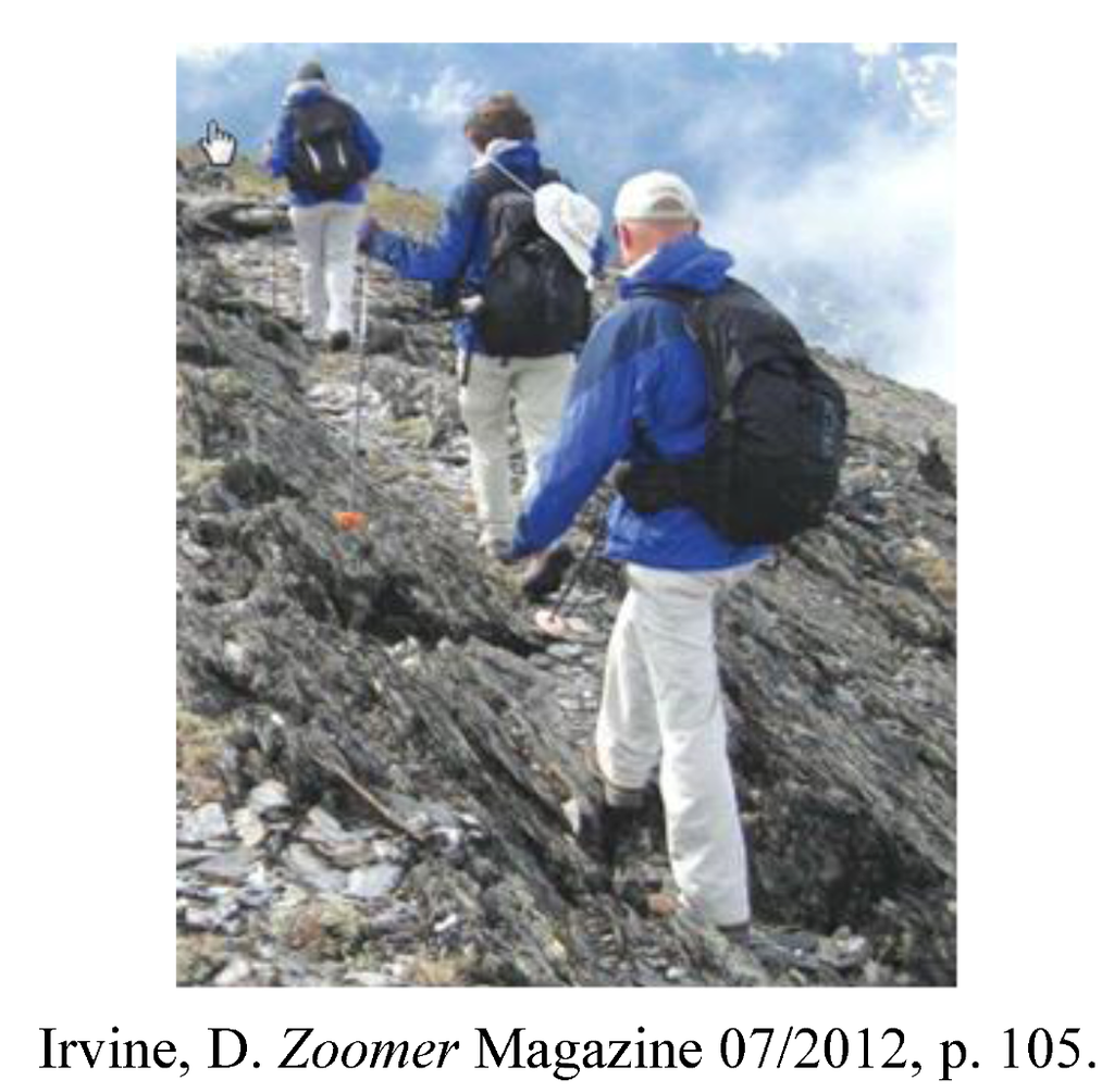 Societies 03 00052 g003 1024