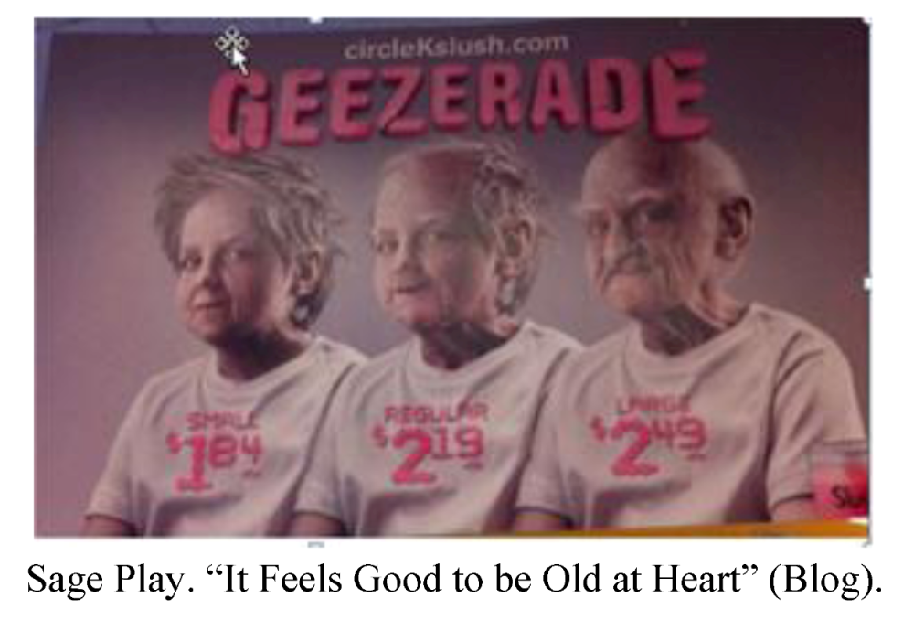 Societies 03 00052 g008