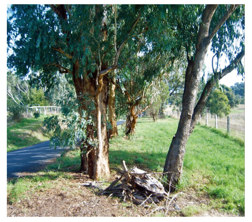 Societies 03 00224 g001 1024