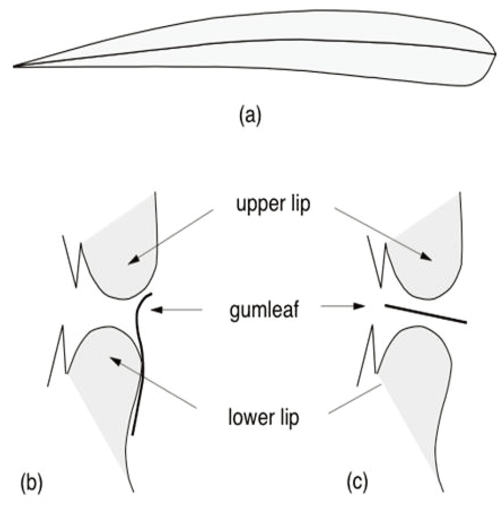 Societies 03 00224 g002 1024