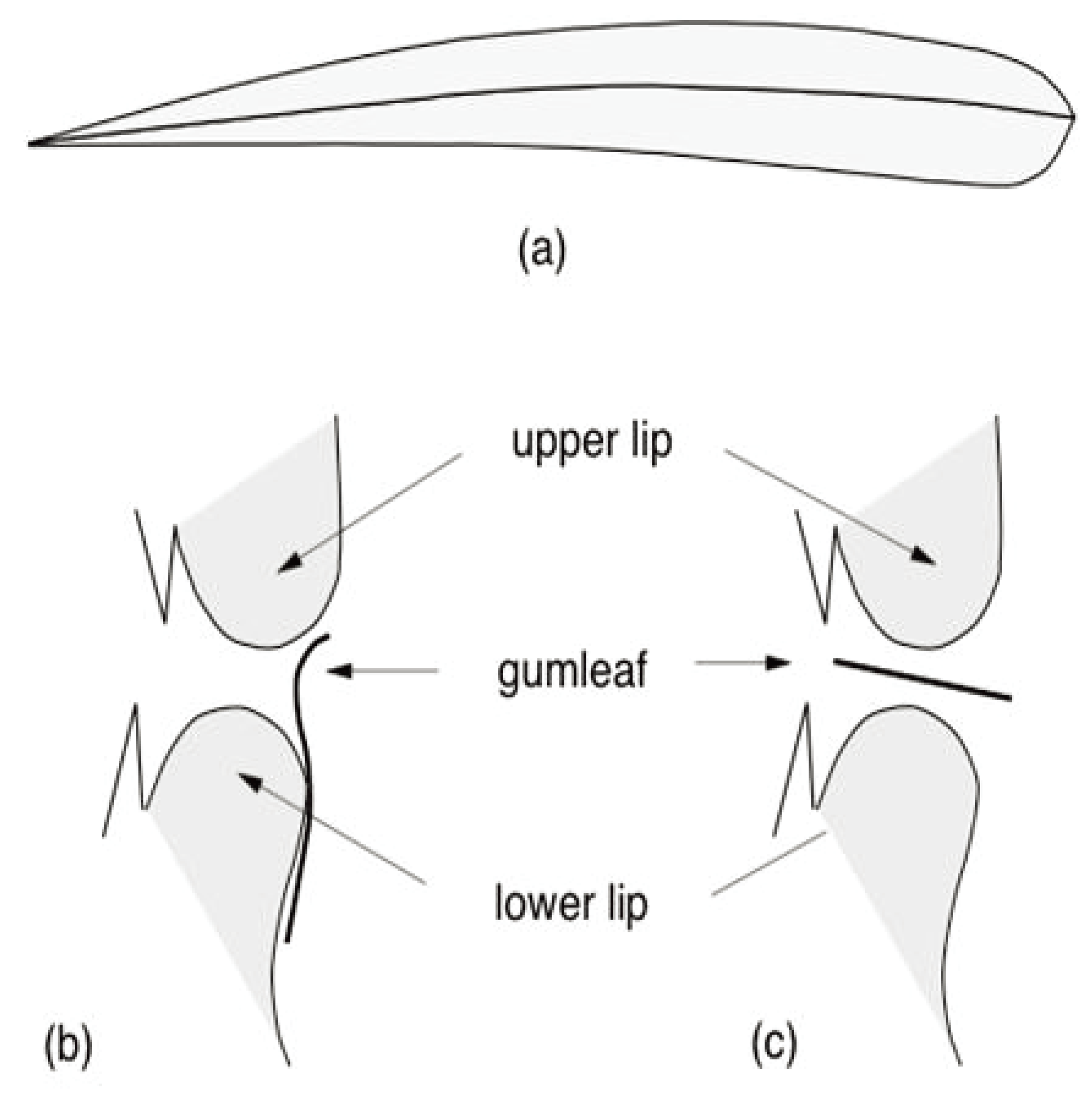 Societies 03 00224 g002