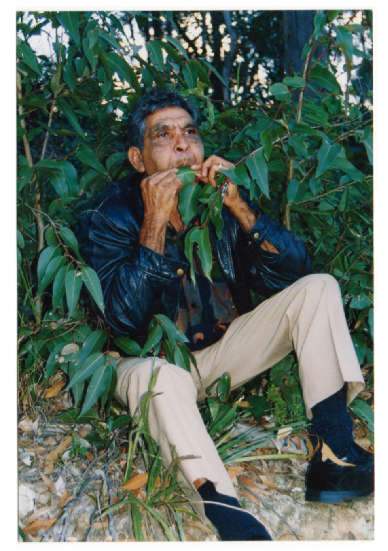 Societies 03 00224 g003