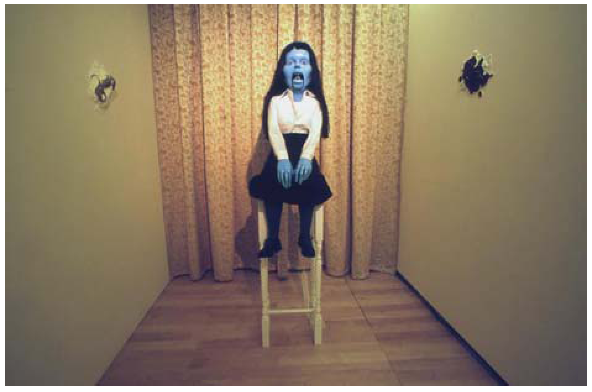 Societies 03 00332 g005