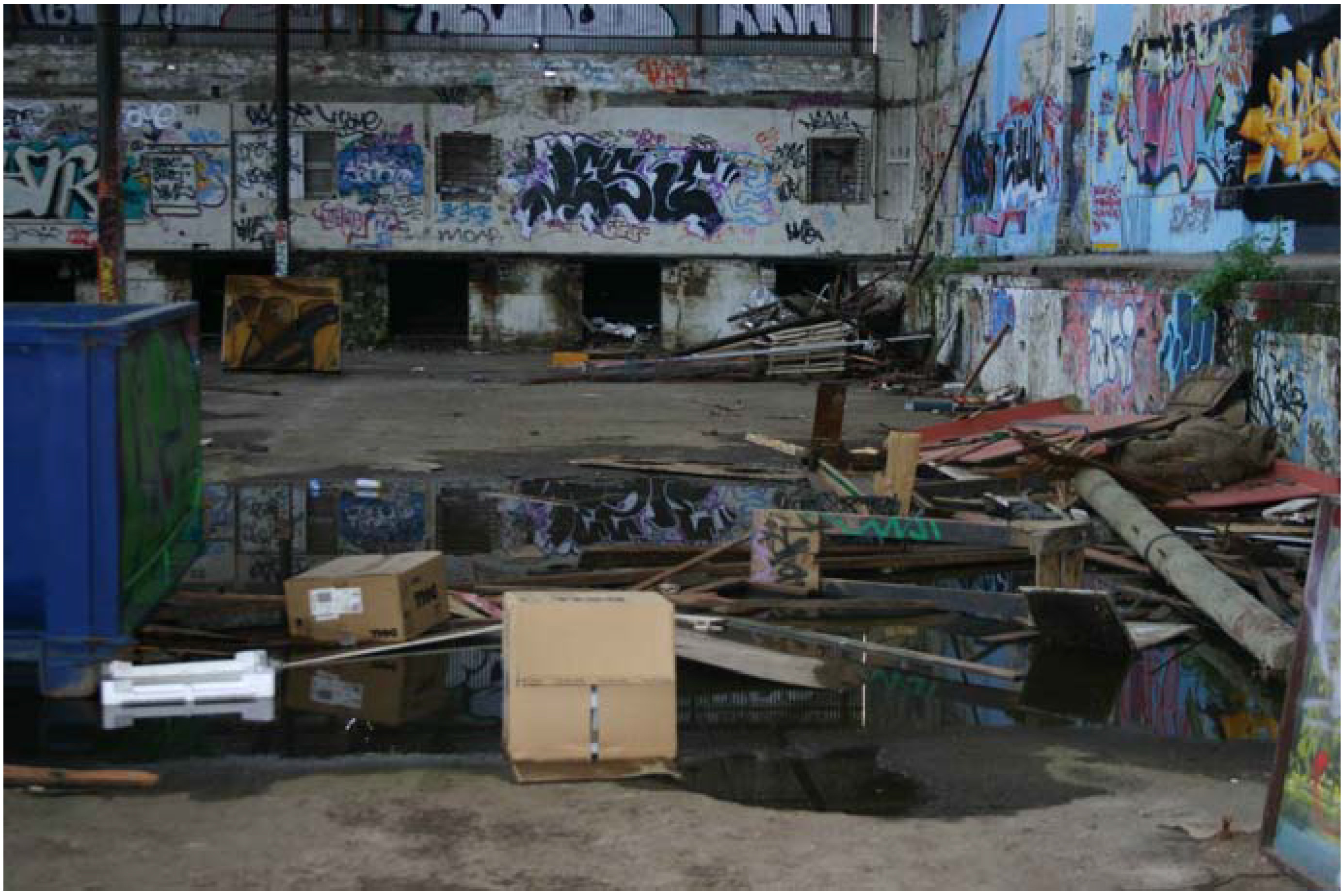 Societies 03 00464 g004