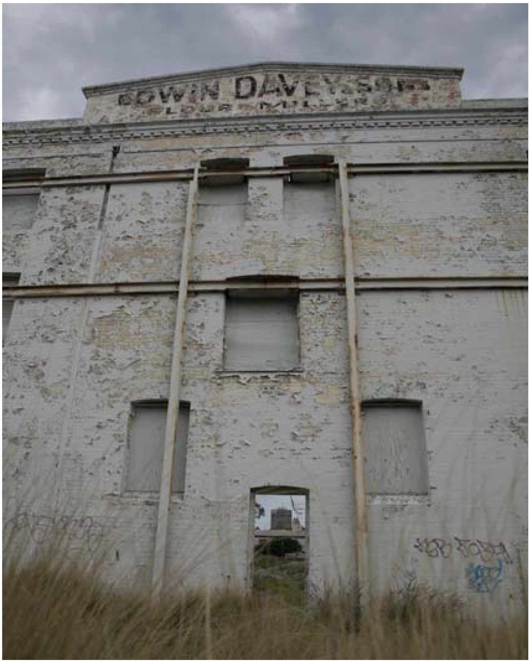 Societies 03 00464 g006