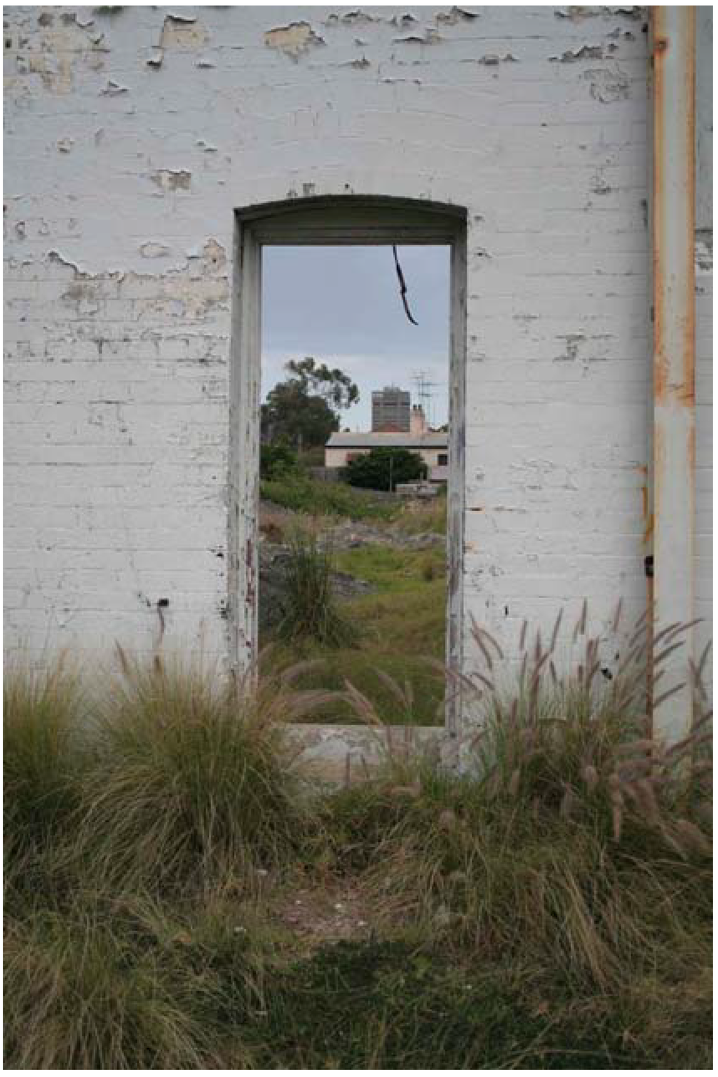 Societies 03 00464 g007 1024