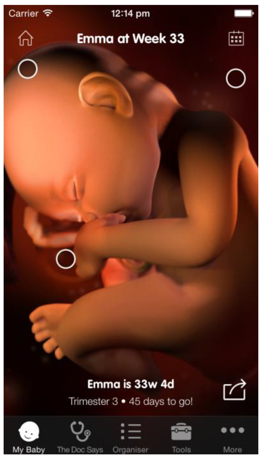 Societies 04 00330 g001 1024