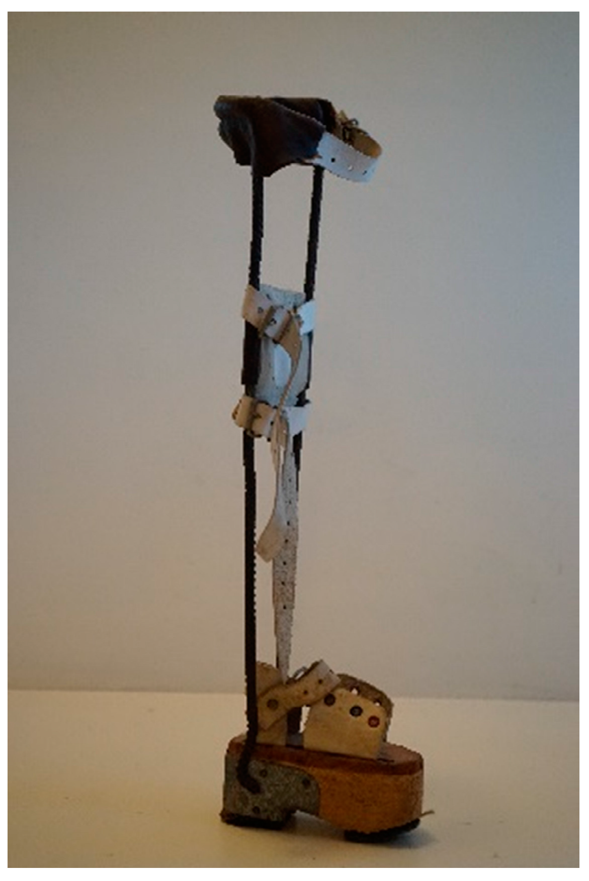 Societies 07 00016 g002