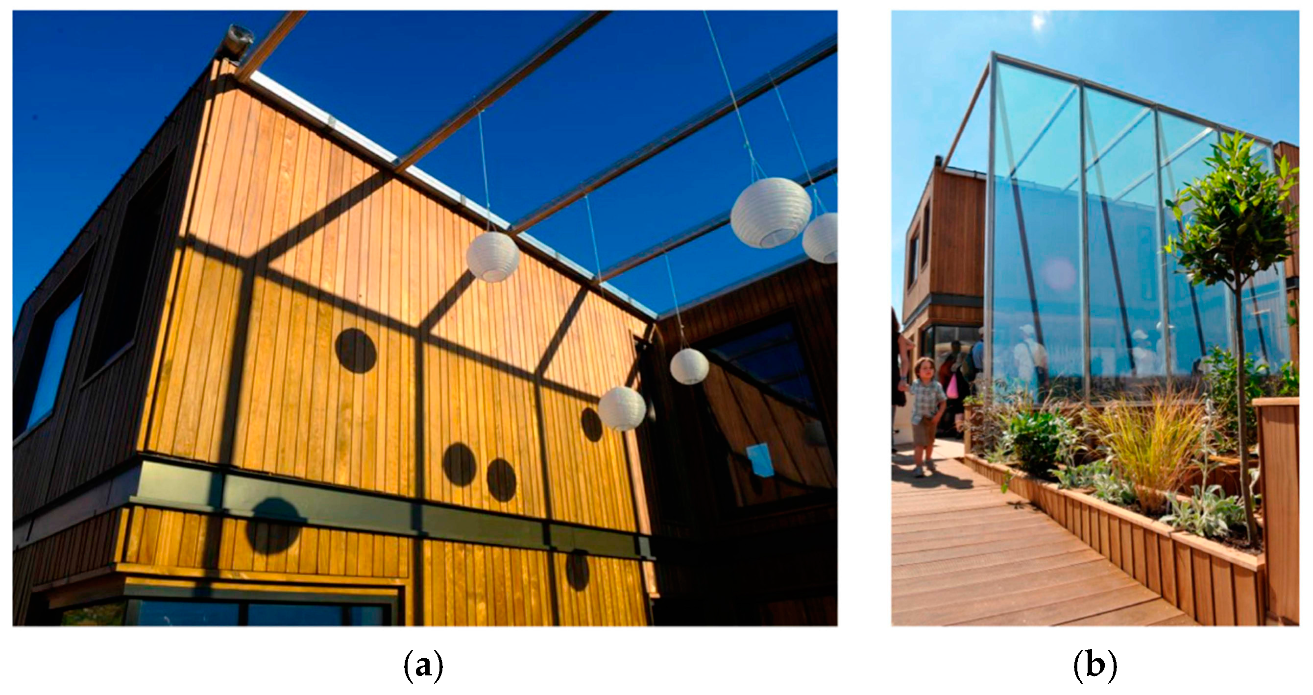 Societies 07 00035 g005