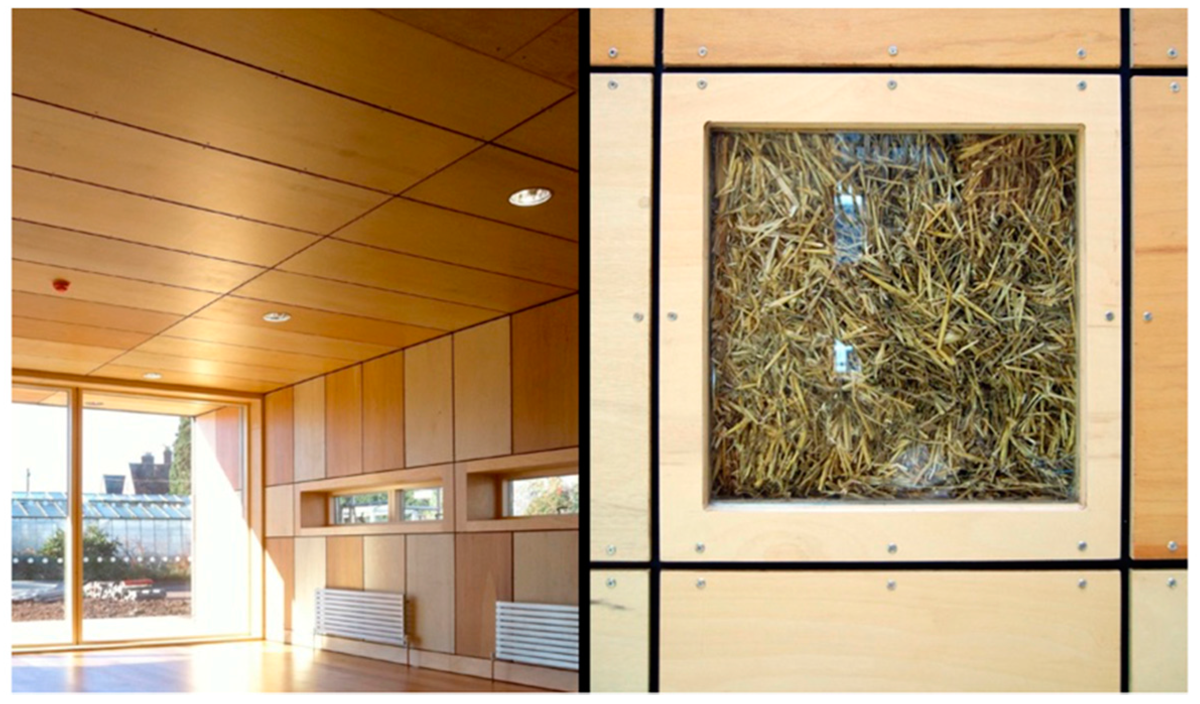 Societies 07 00035 g007