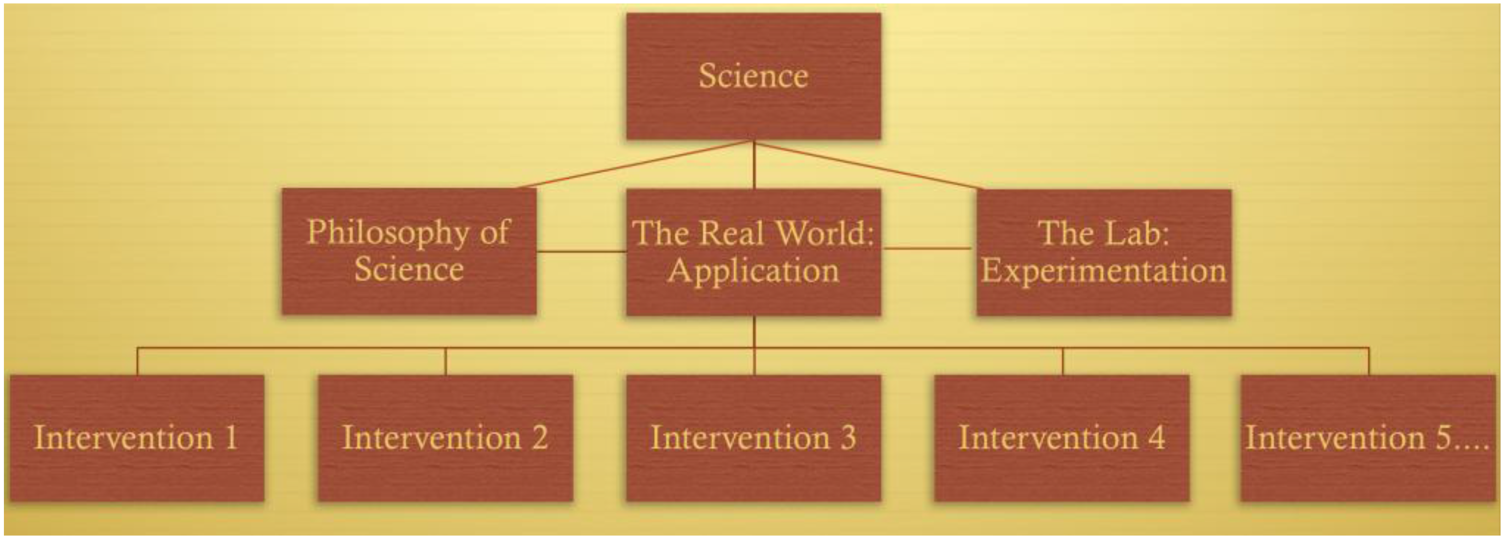 Societies 08 00029 g001