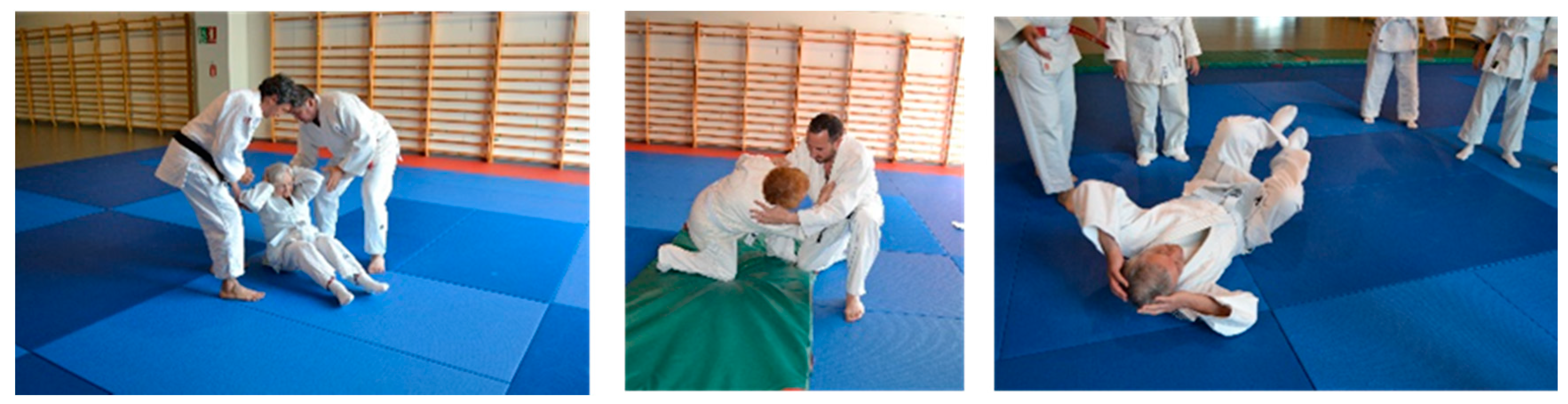 Societies 08 00057 g010