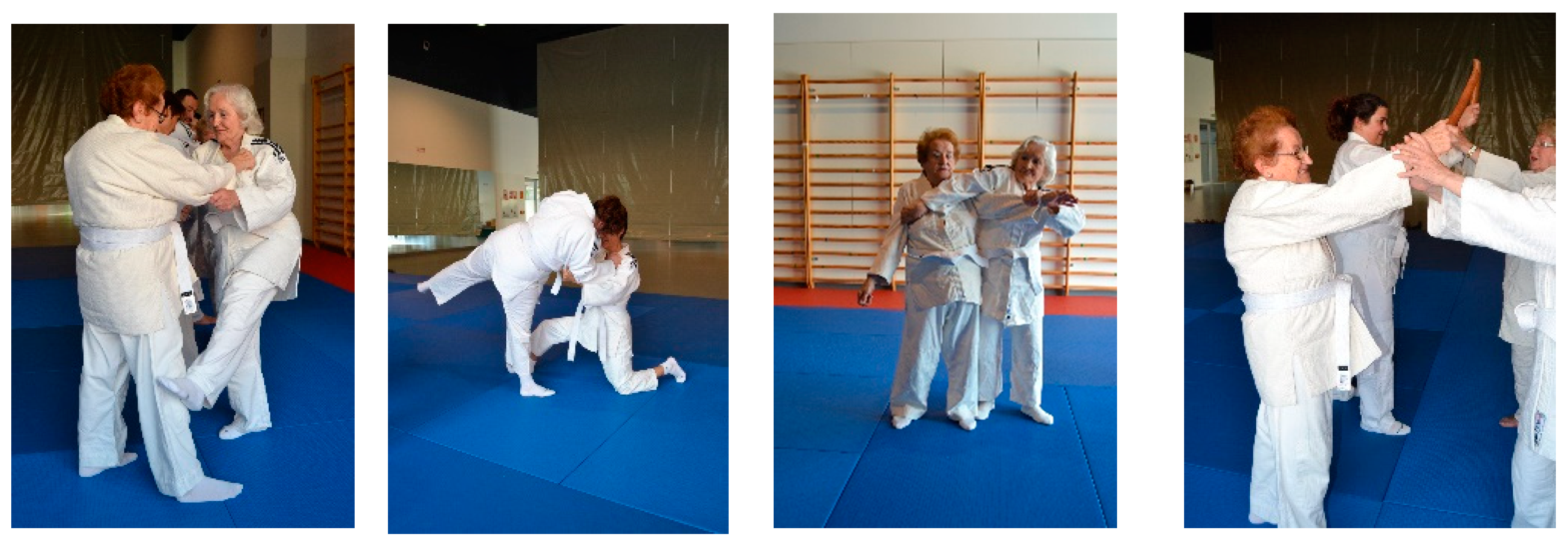 Societies 08 00057 g011