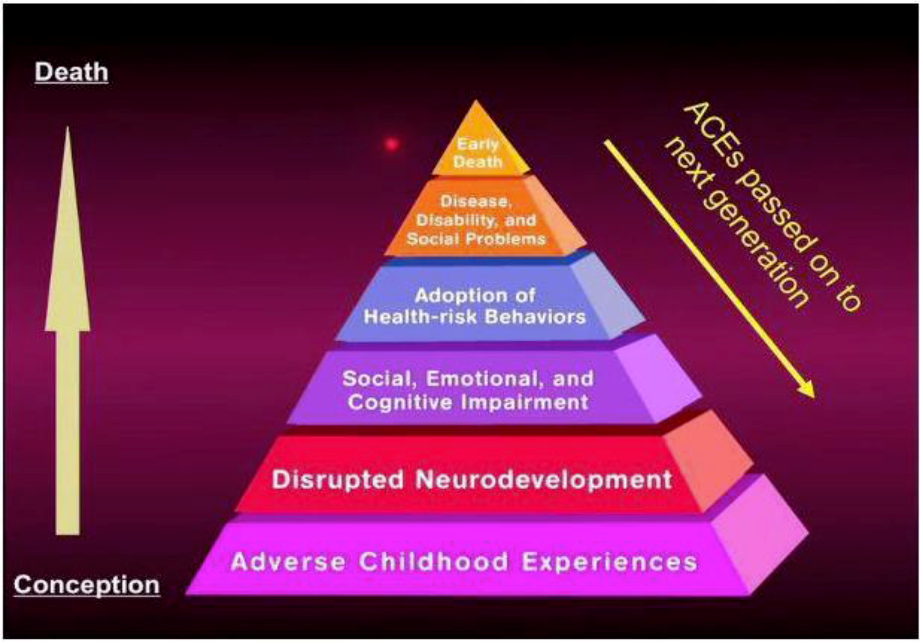 Societies 08 00115 g001