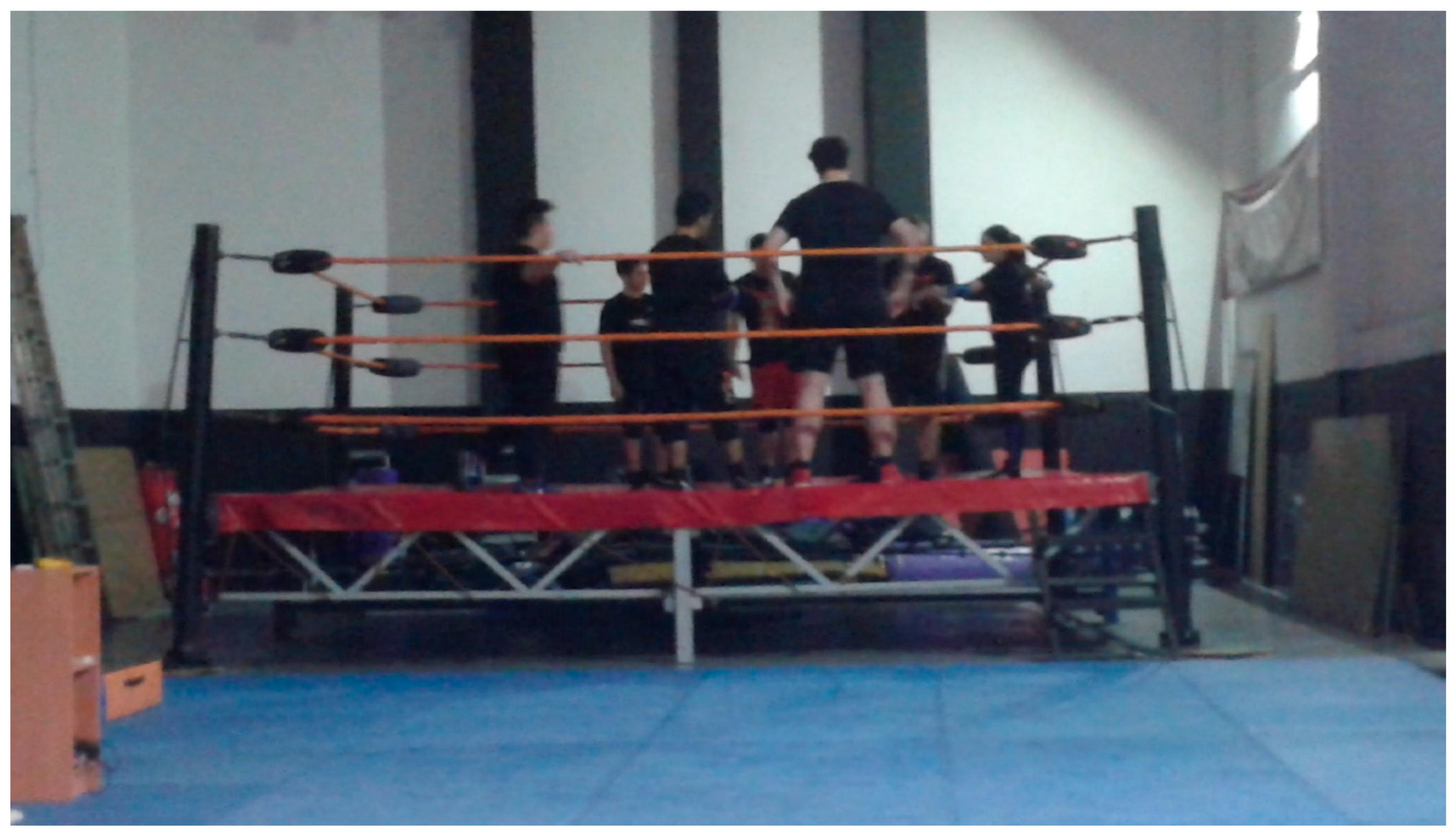 Societies 09 00008 g005