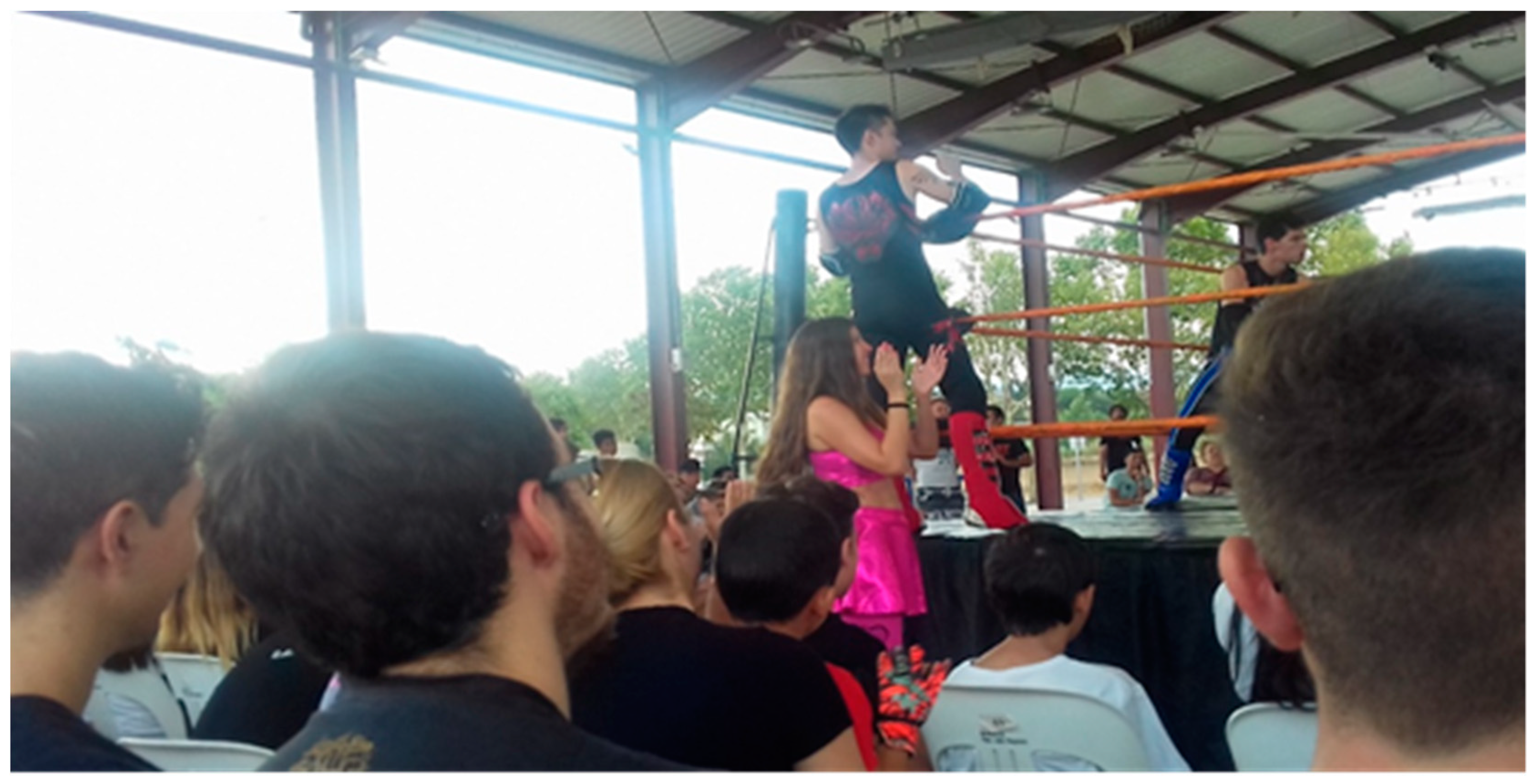 Societies 09 00008 g011