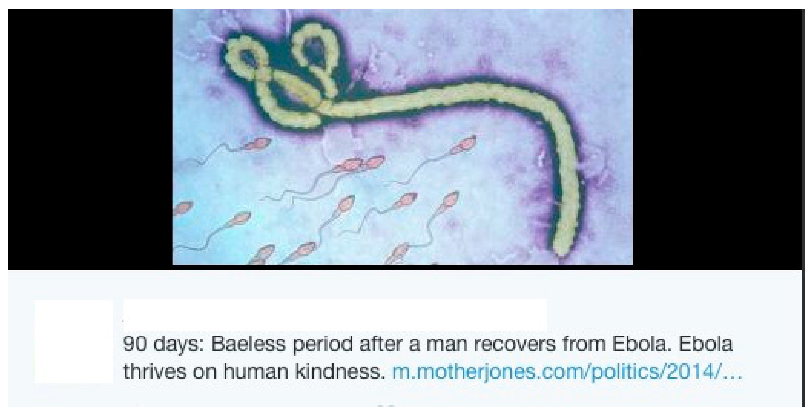 Societies 09 00012 g012