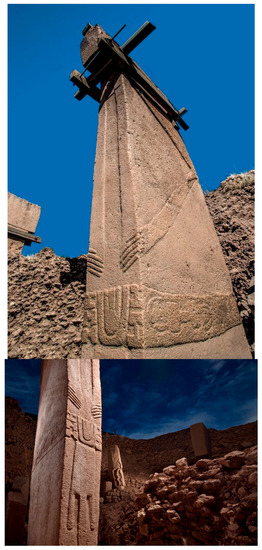 Societies 09 00021 g0a1