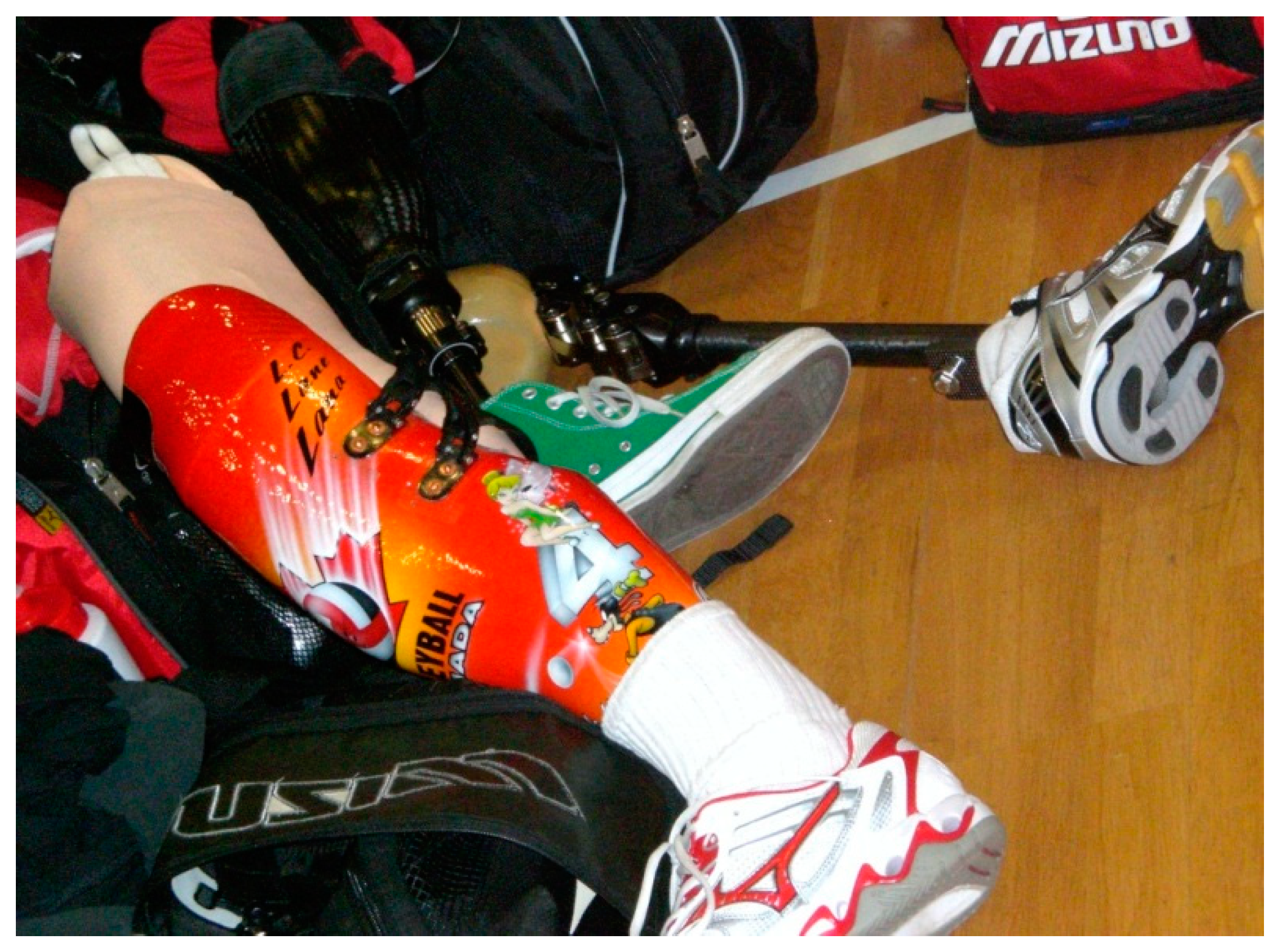 Societies 09 00041 g001