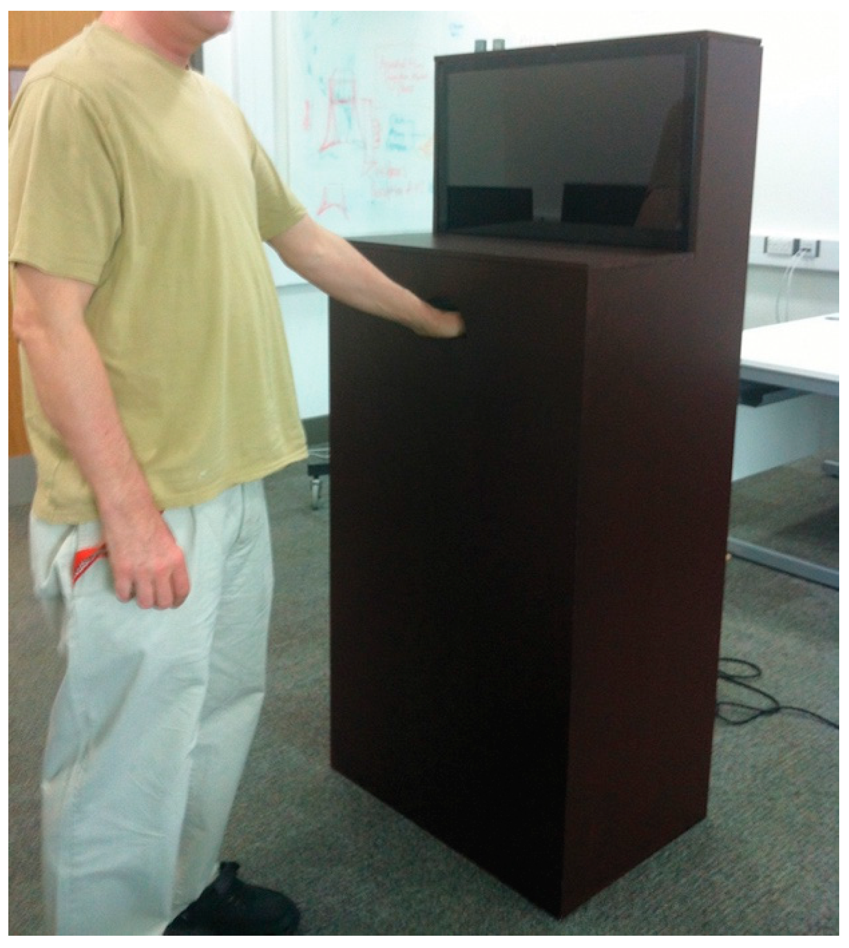 Societies 10 00025 g001