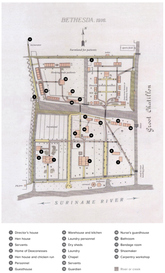 Societies 10 00032 g002