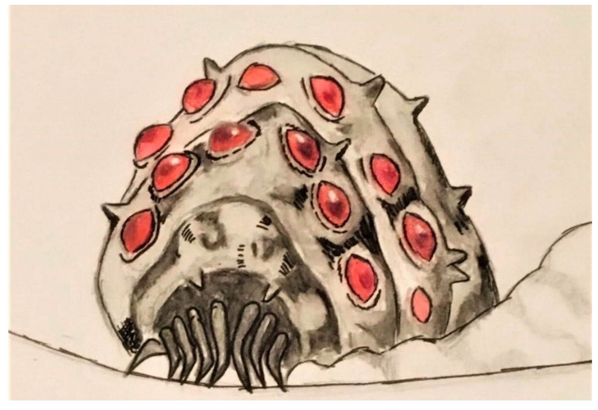 Societies 10 00035 g002