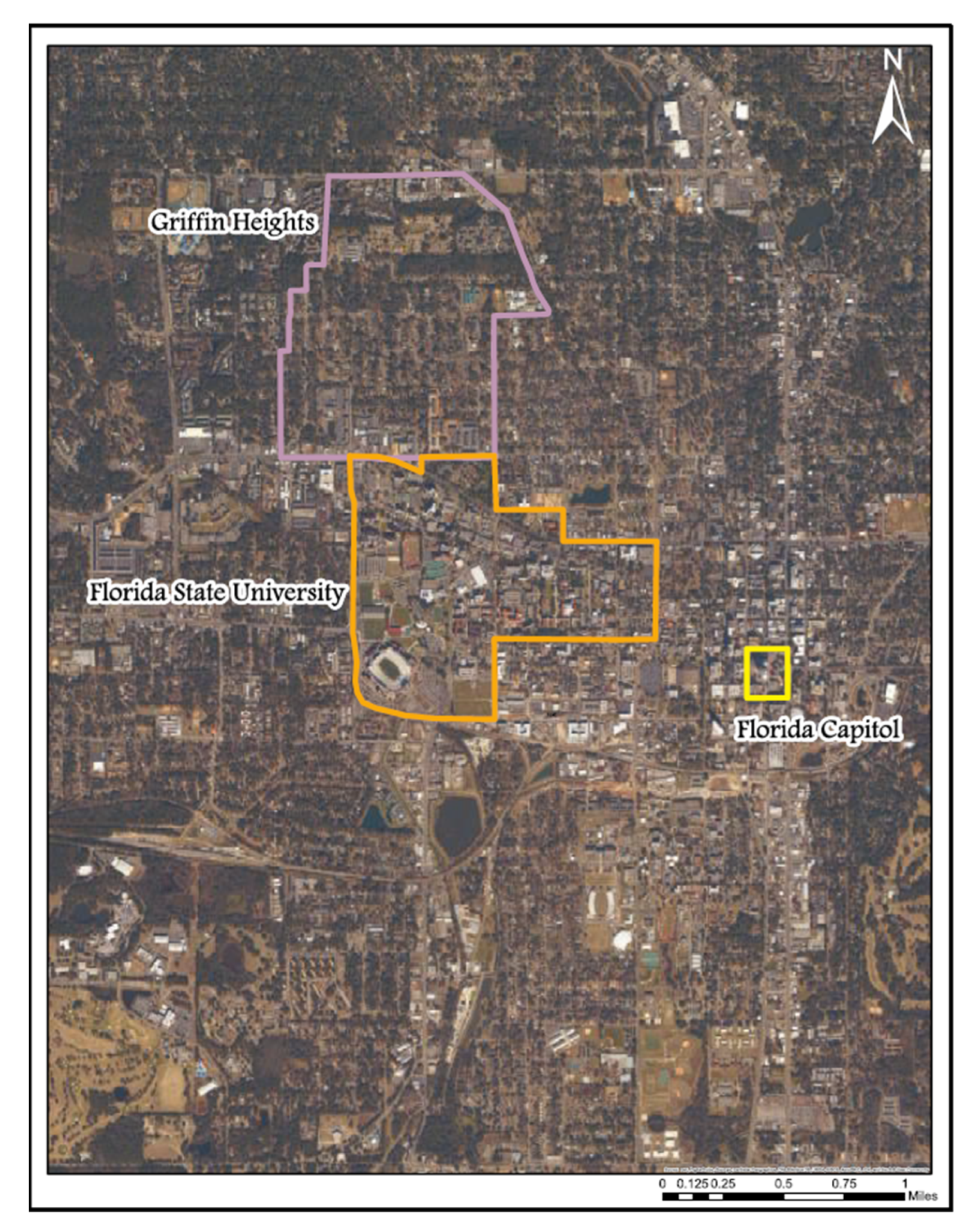 Societies 10 00061 g001