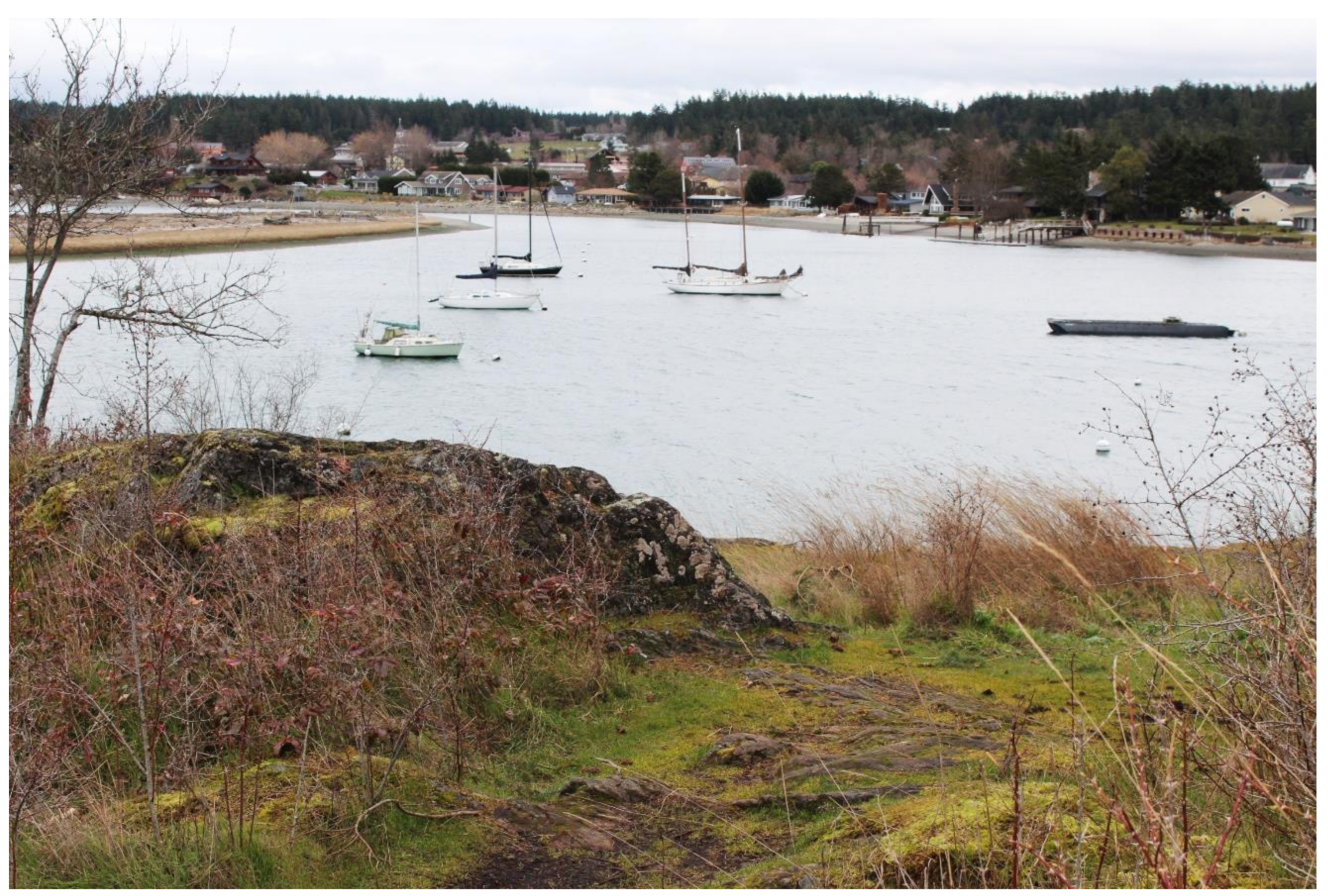 Societies 10 00064 g002